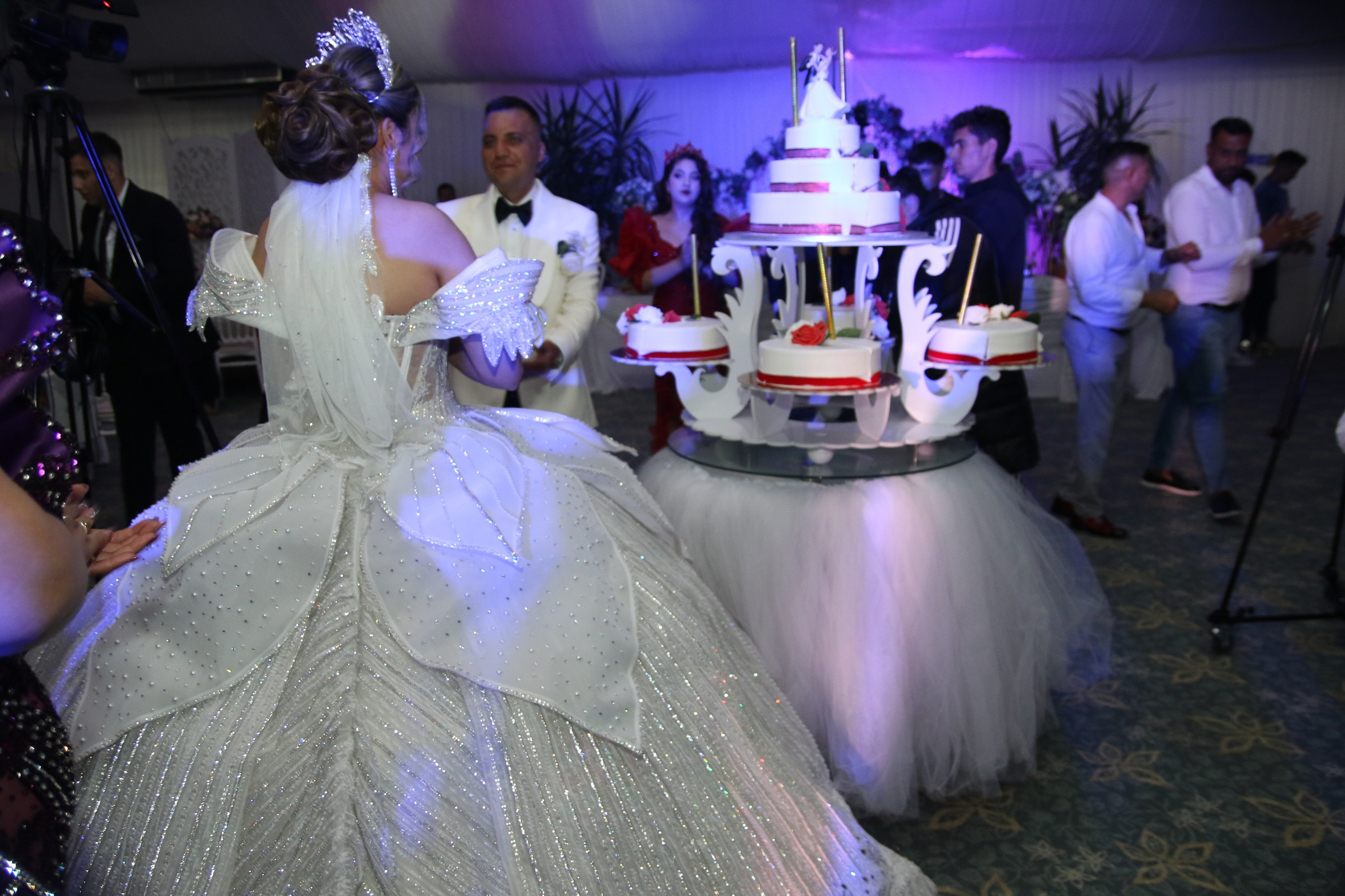 BORIS & ALINA. PETRU BYZO - family and children photographer in ROMANIA