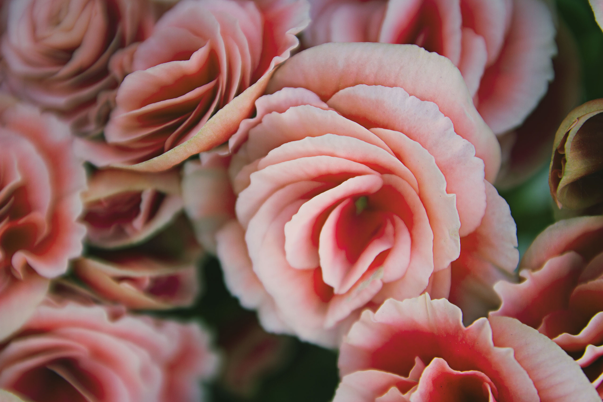 My travels. Alexandra Grevtseva — Art-photographer in Germany