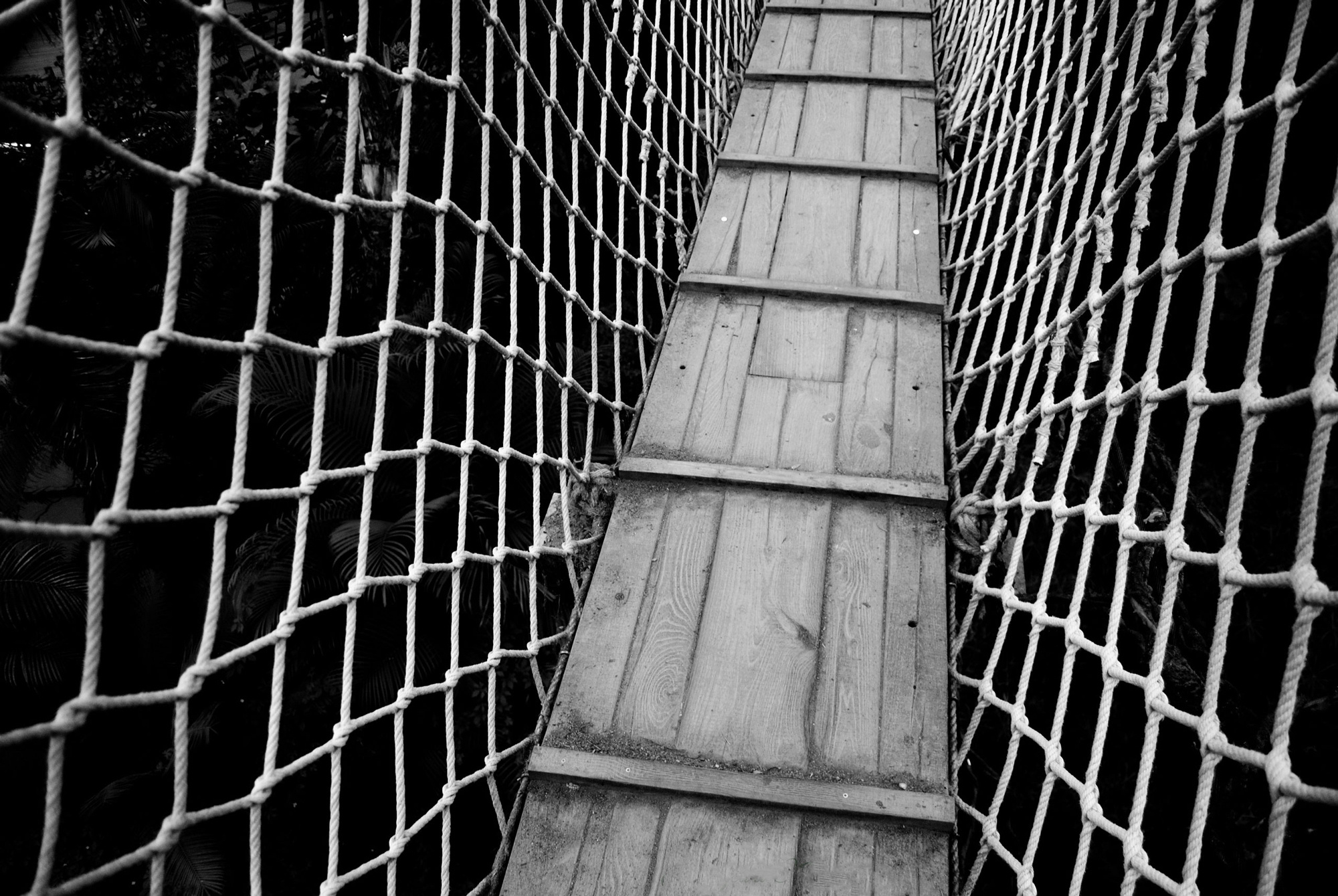 My travels. Alexandra Grevtseva — Art-photographer in Germany