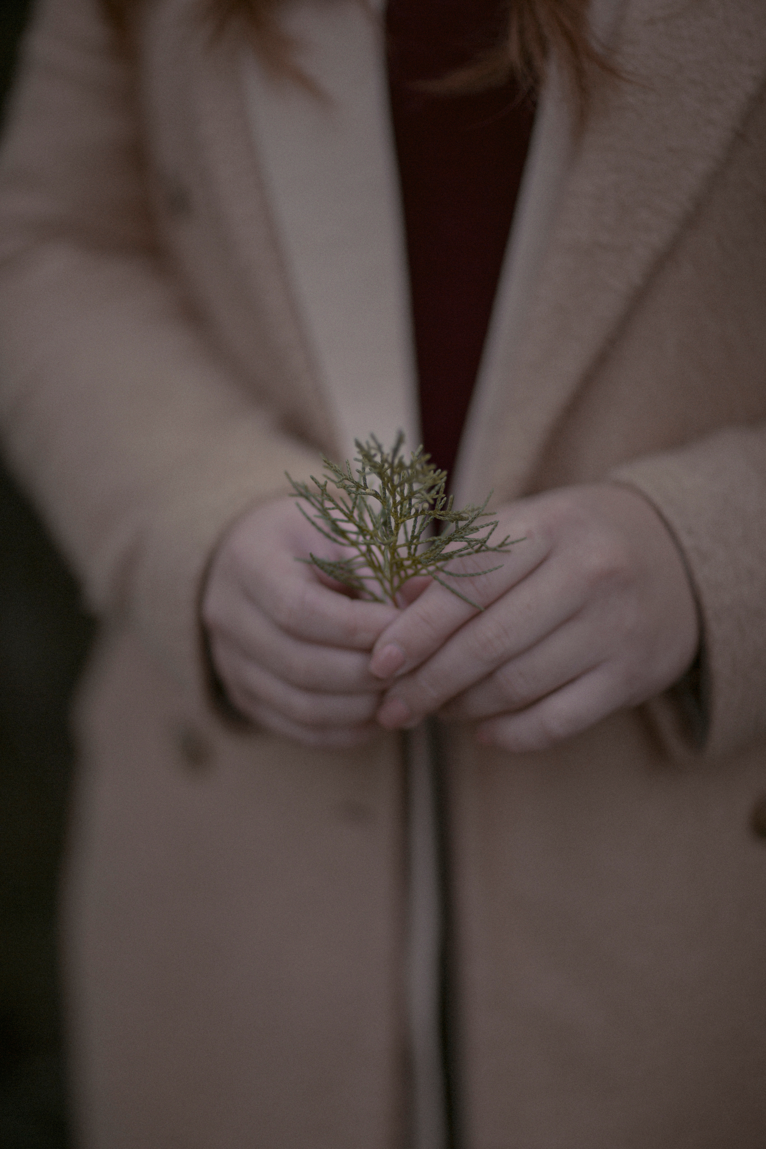 Renee — autumn mood. Photographer in Belgium