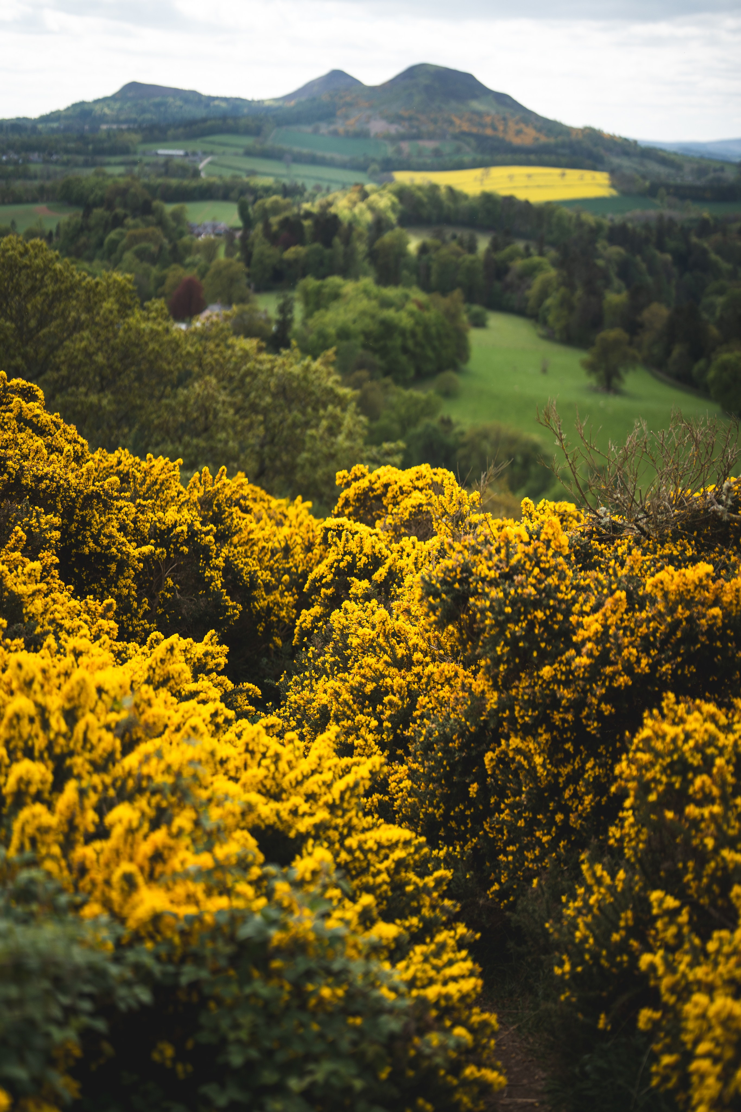 Туры. Photographer & Tour Guide Based in Scotland