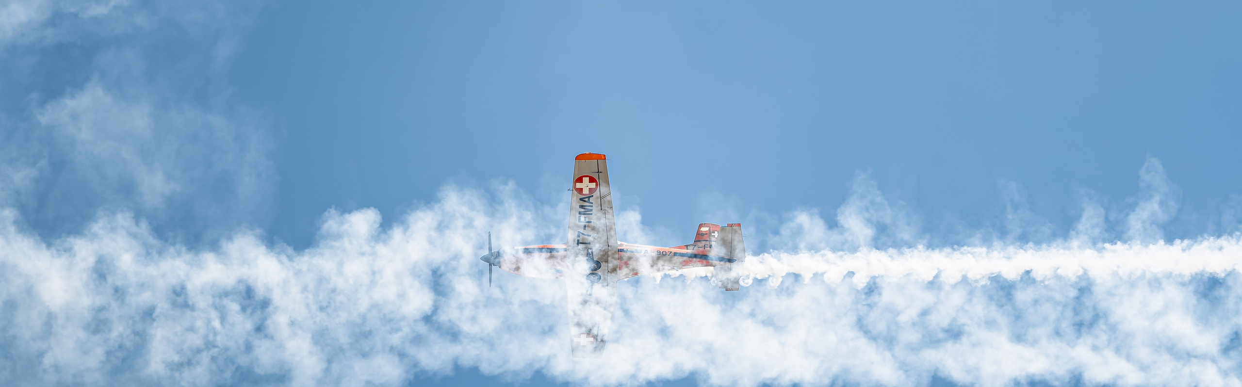 Wings and Friends · Grenchen 2026. Lutsenko Visuals — Photography & Visual Content