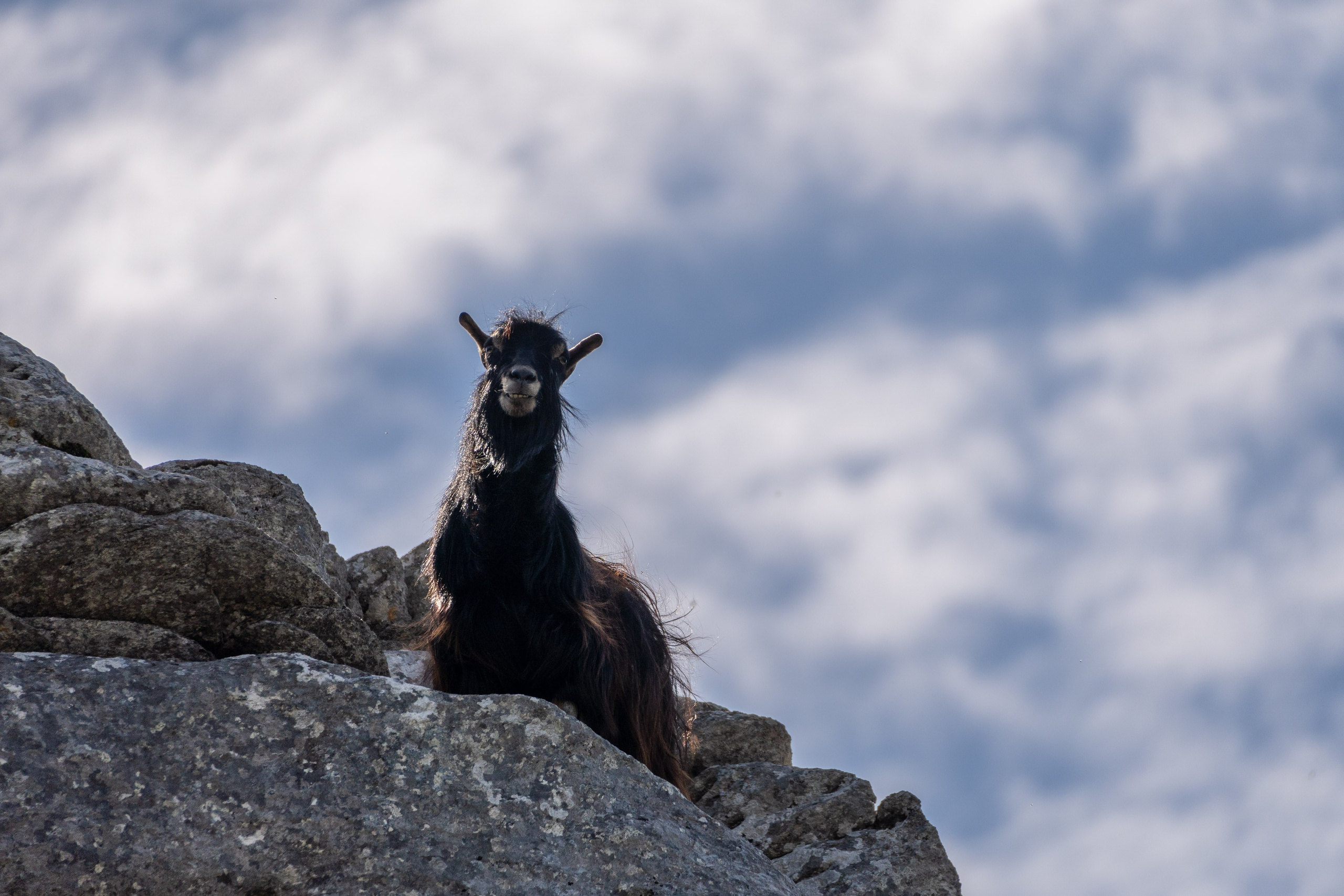 Thasos 2025. Fotografiideplacere.net