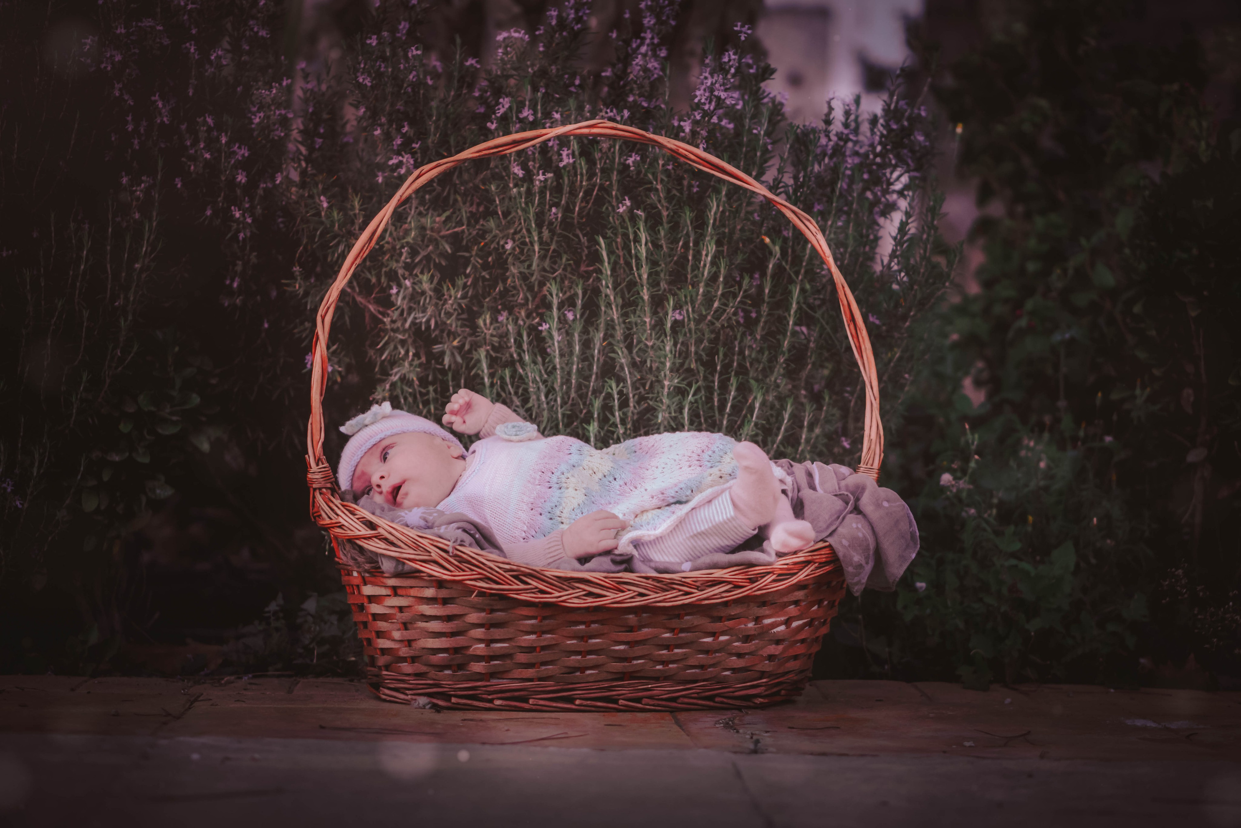 Olivia. Alba del Norte Studio