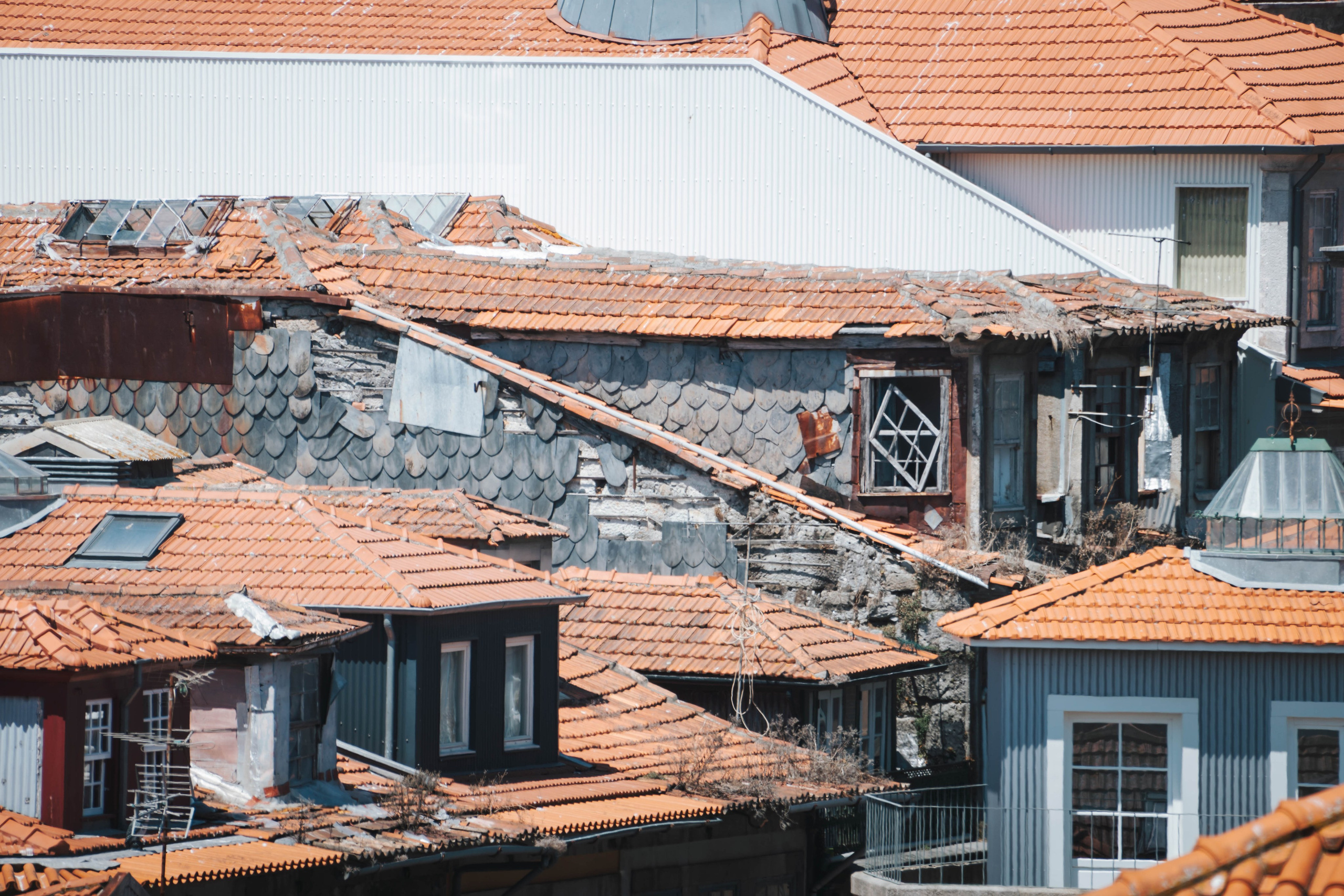 Porto, Agosto 2024. Alba del Norte Studio