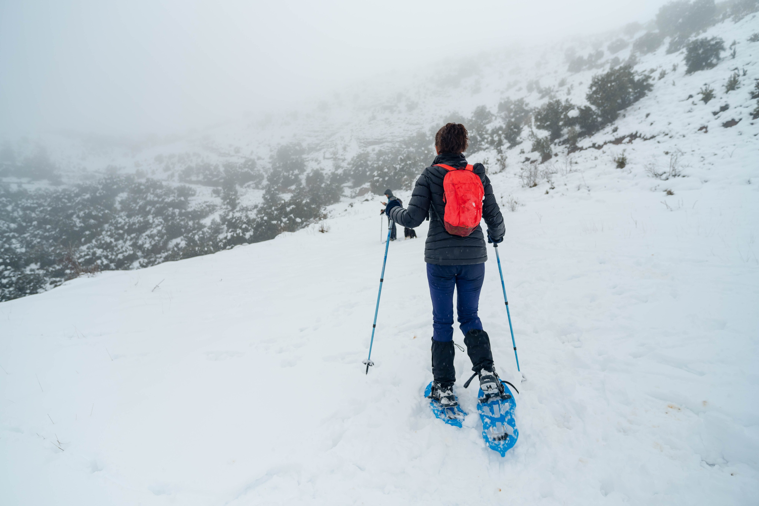 Pueblo abandonado de Montsor nevado. Alba del Norte Studio