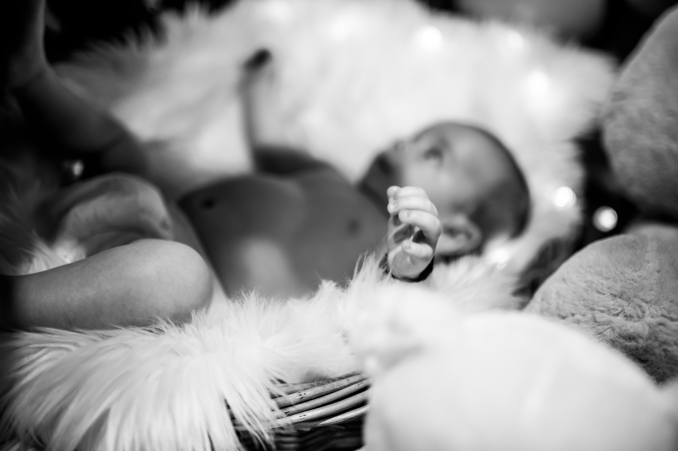 Botez Eduard. Ionut Birceanu