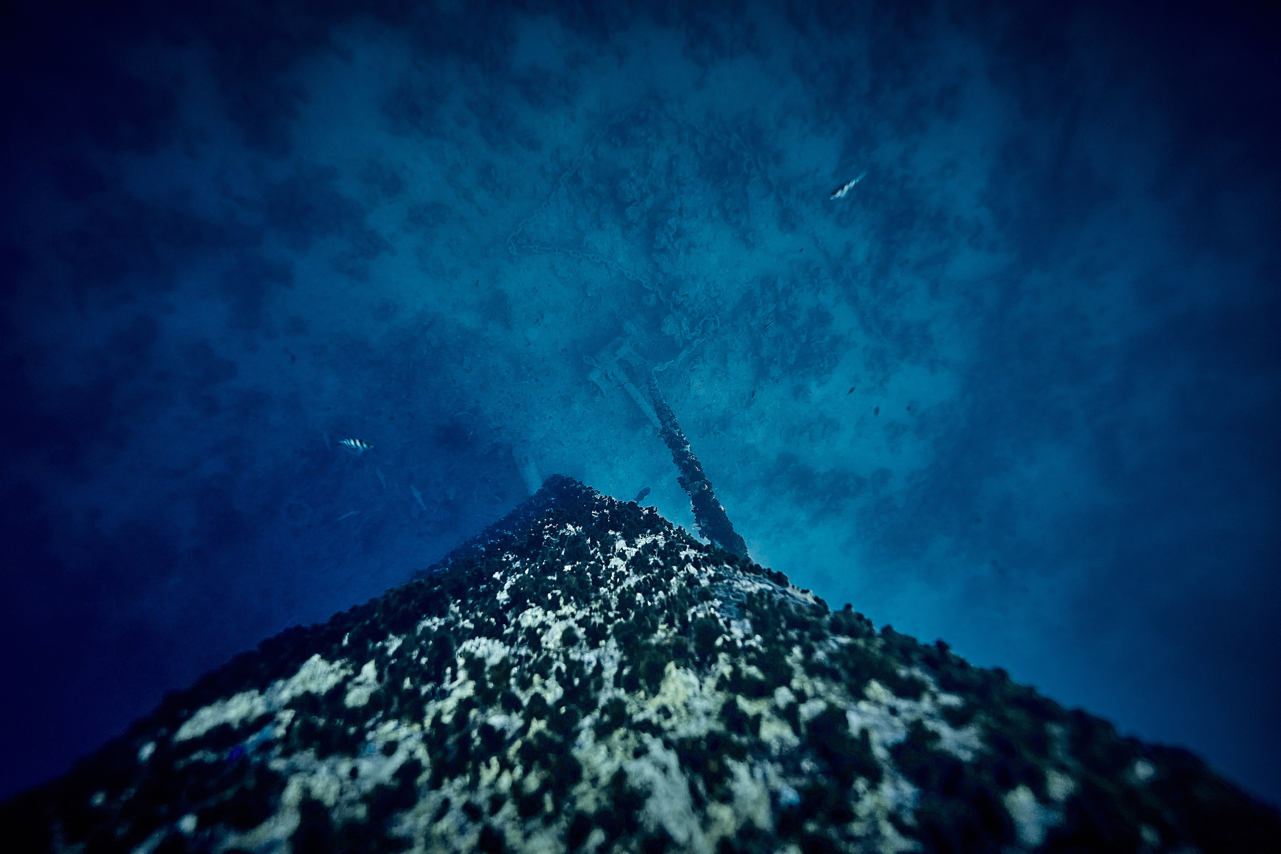 Podwodny fotograf - Andriej Szypiłow - zdjęcia wraków. Andriej Szypilow - Fotografia & Wideografia