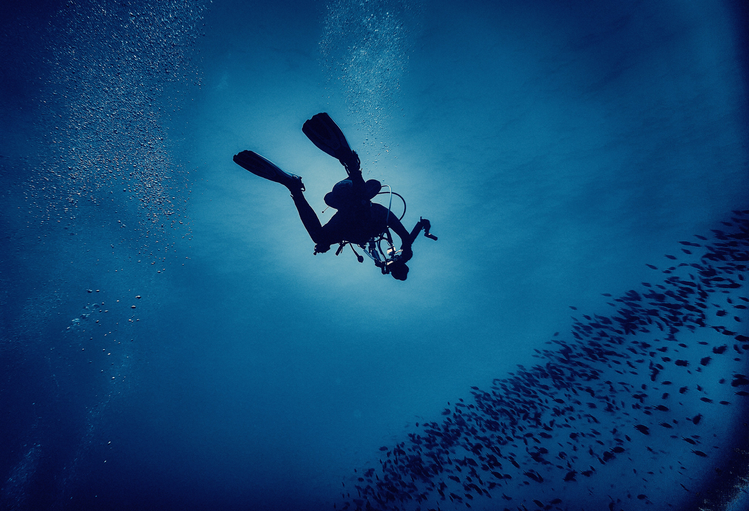 Fotograf podwodny Andriej Szypiłow. Андрей Шипилов — Фотография & Видеография