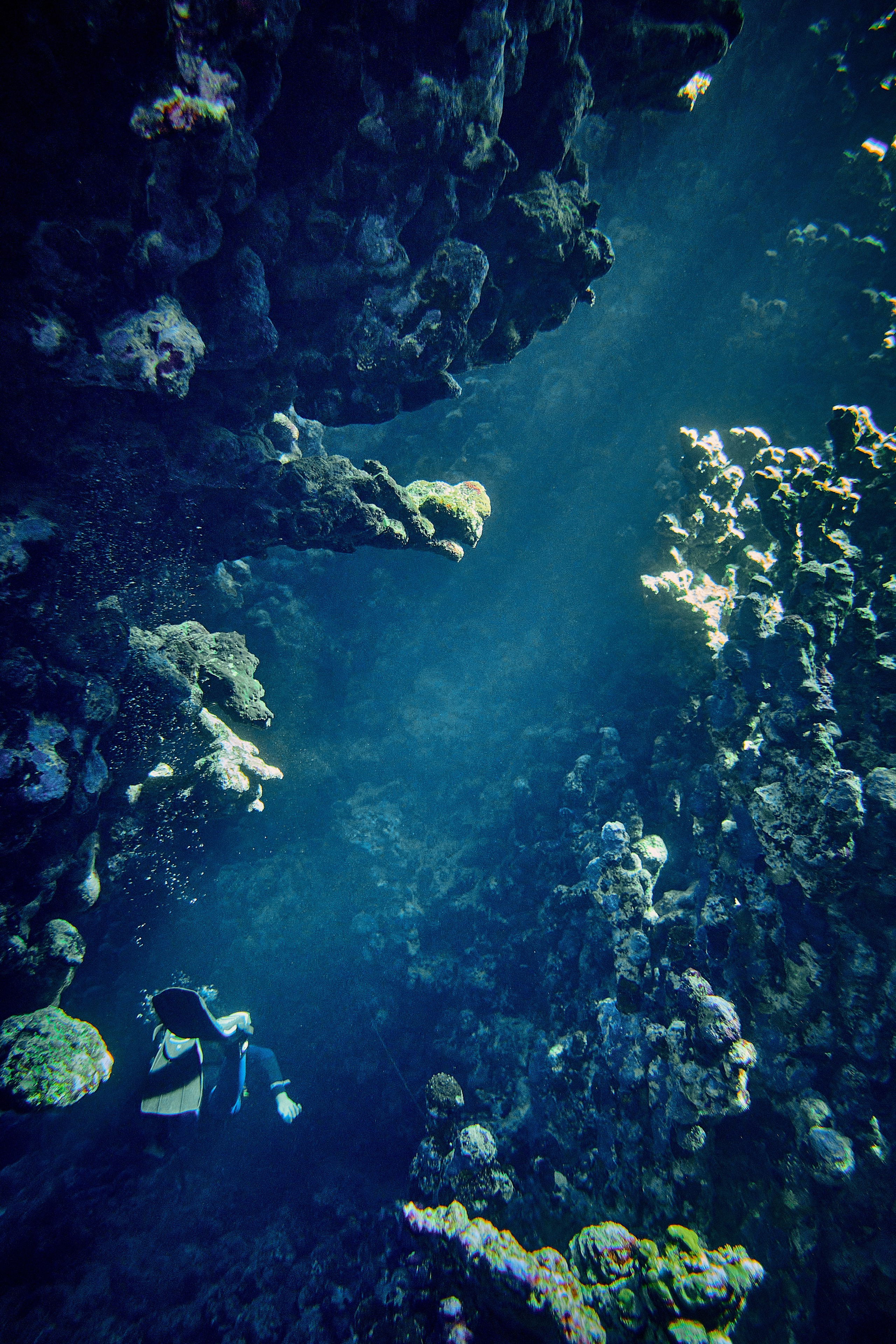 2023-11 - Diving Safari Deep South Egypt. Andriej Szypilow — Photography & Videography