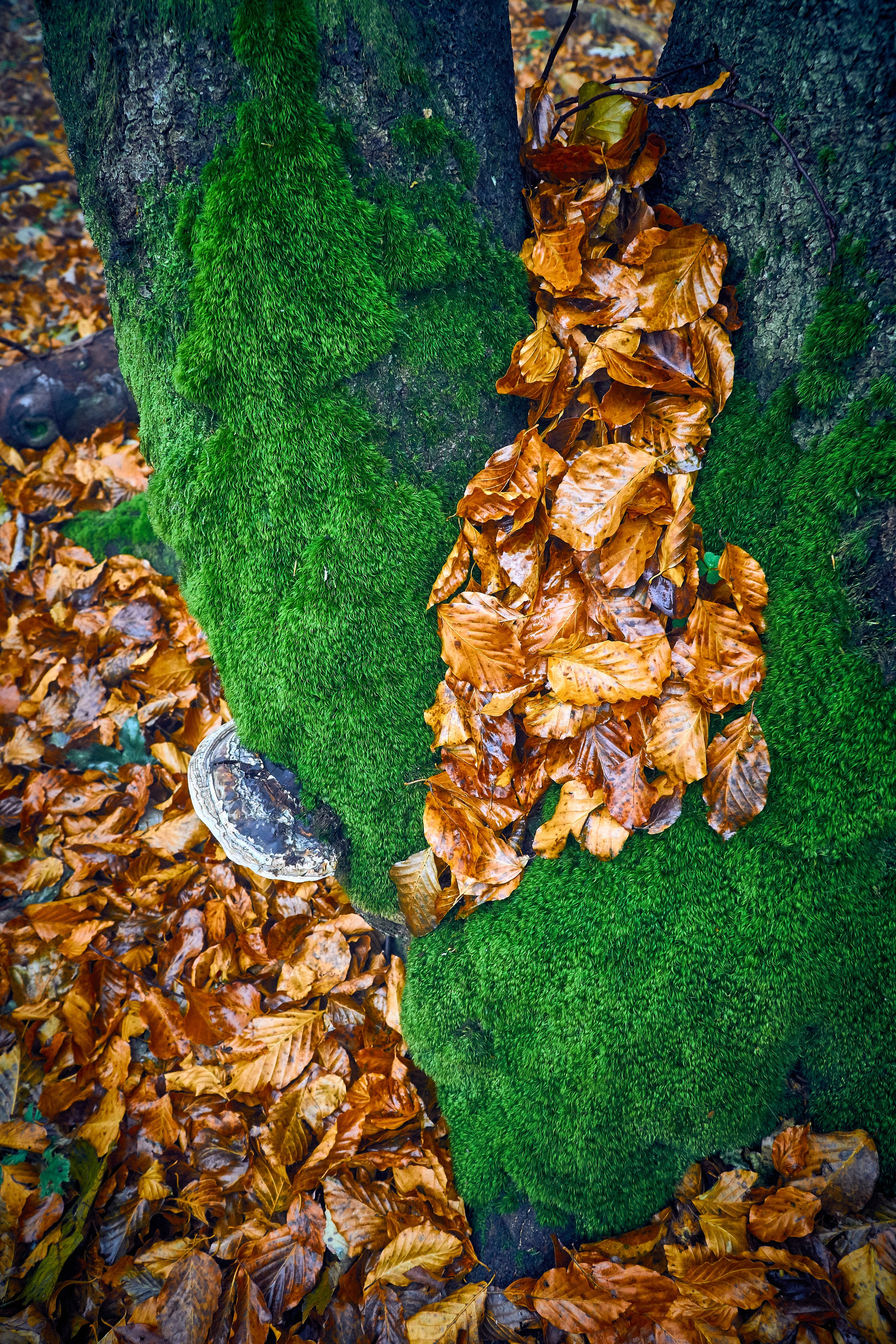 Бещады — здесь остановилось время. Андрей Шипилов — Фотография & Видеография