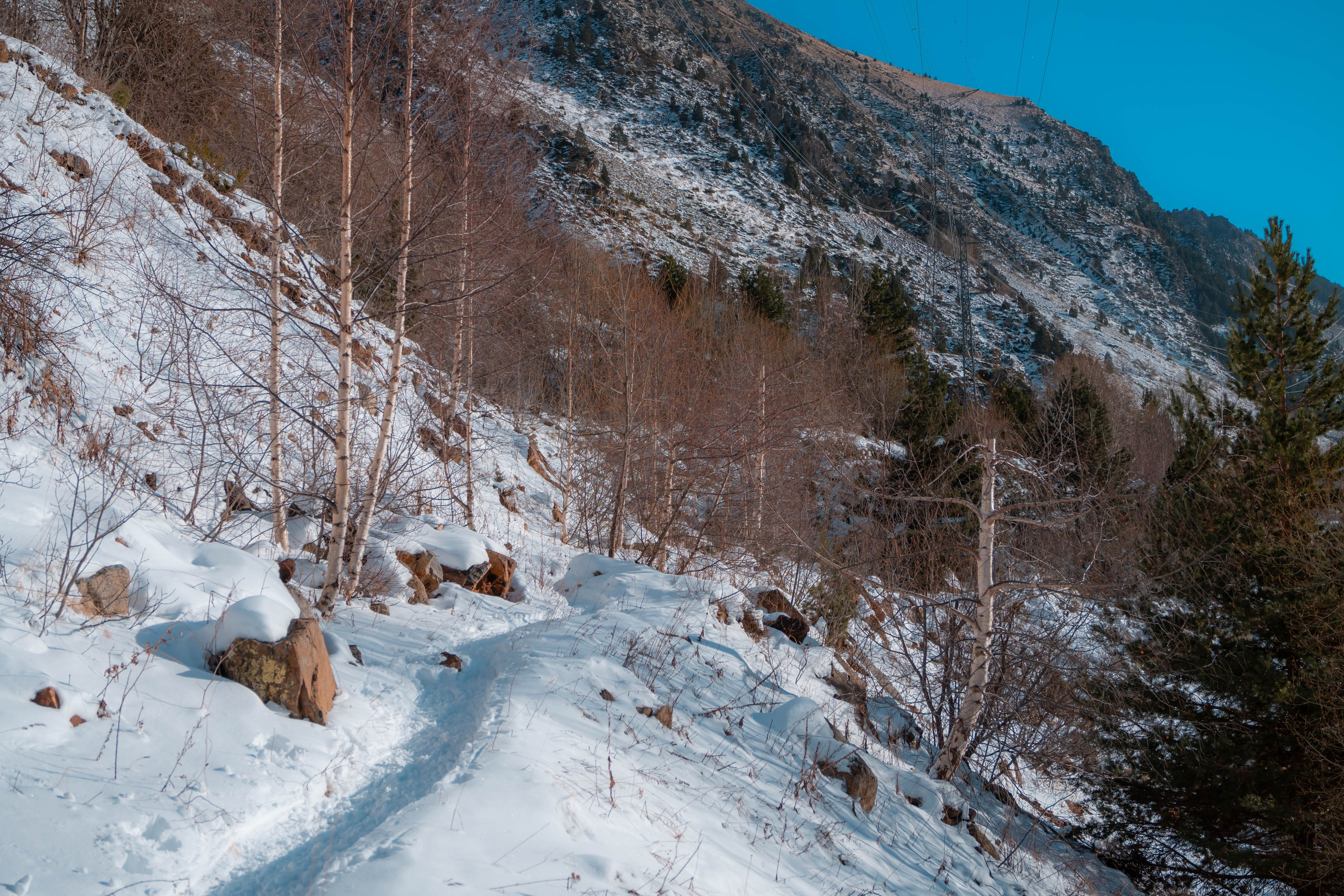 Vall Fosca, Invierno 2023. Alba del Norte Studio