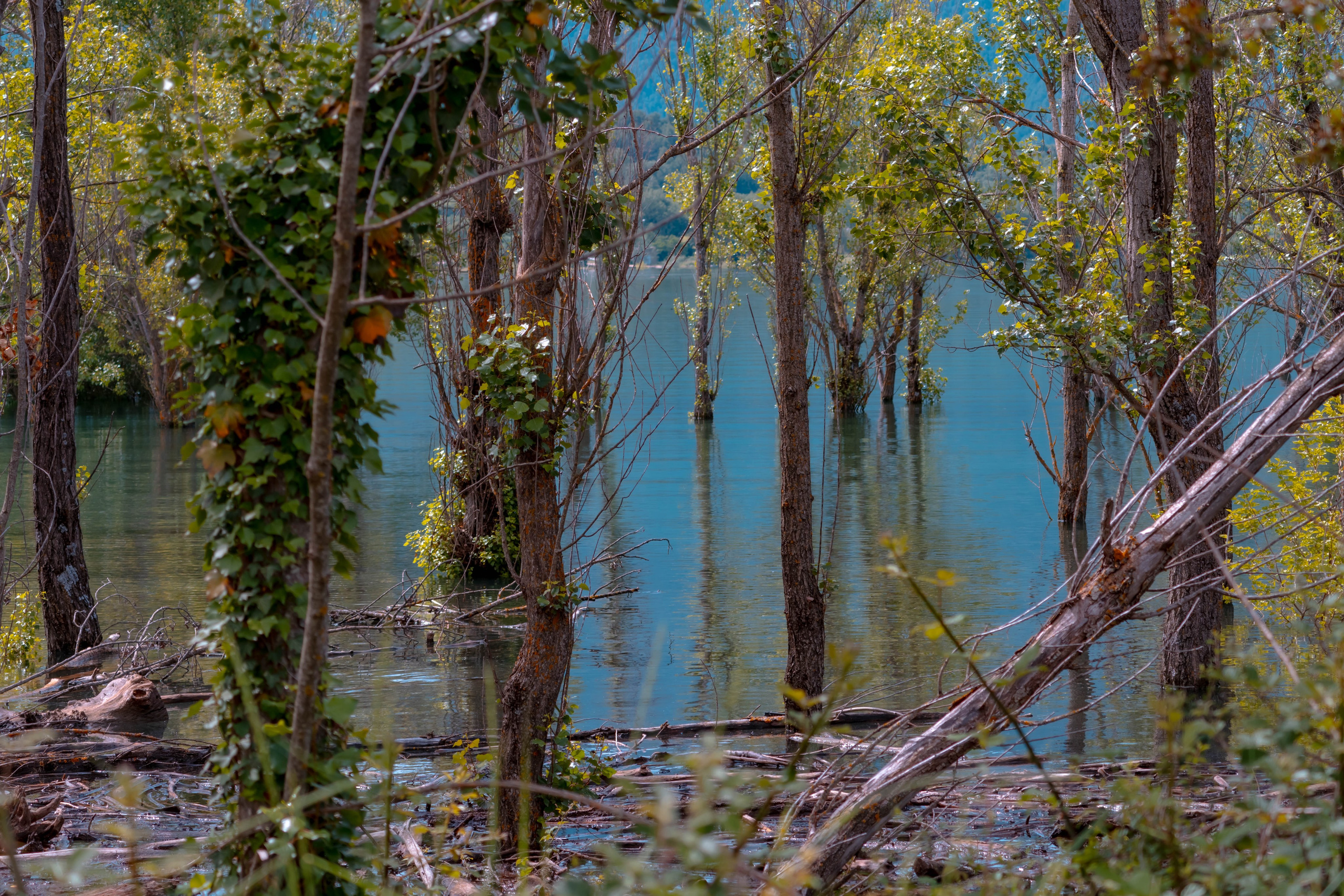 Bocetos. Alba del Norte Studio