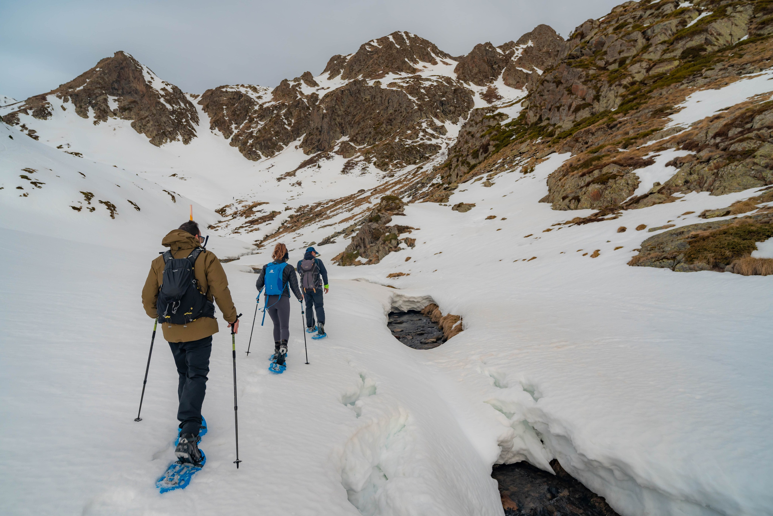 Ruta Comas de Fort. Alba del Norte Studio