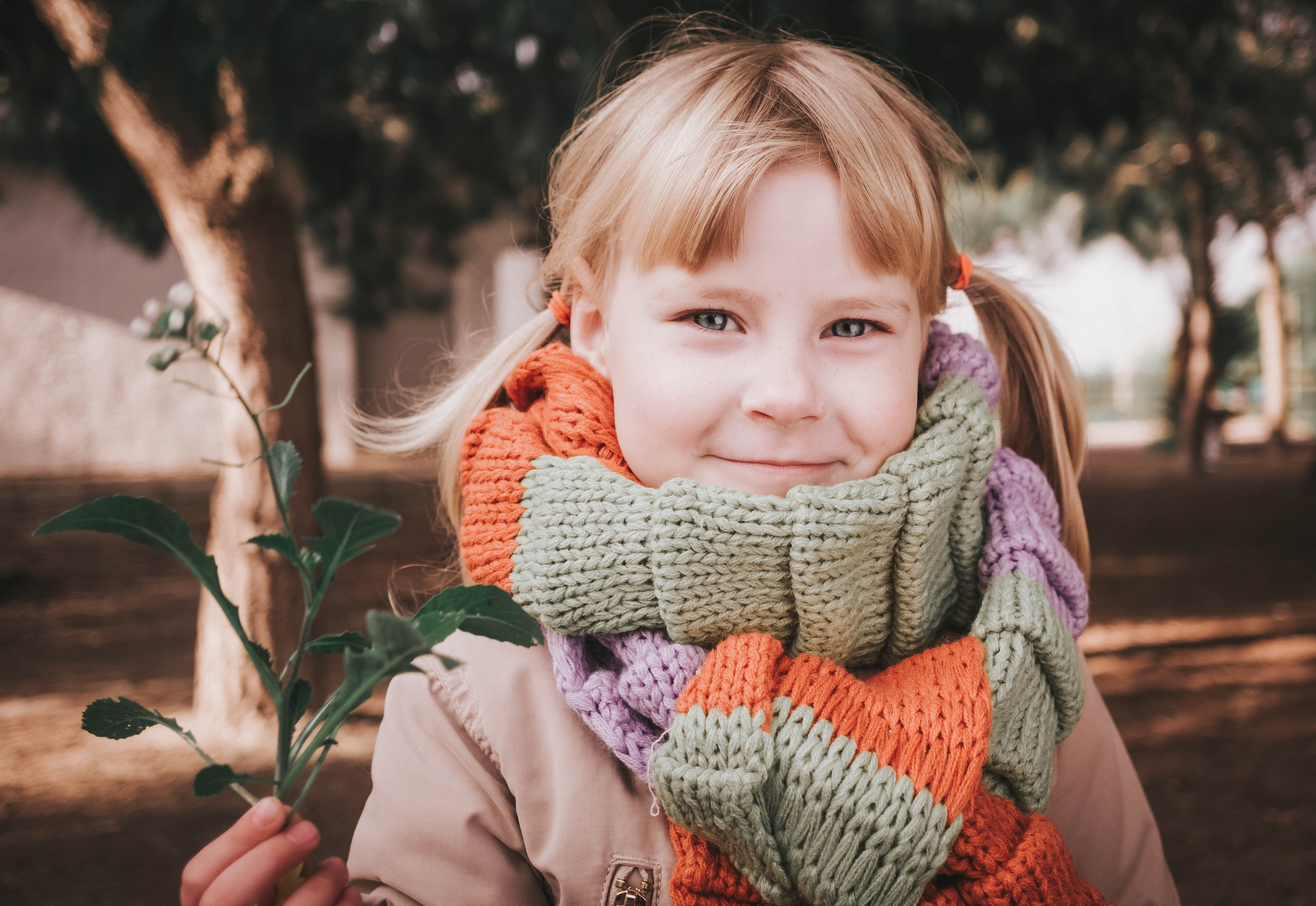 Magic moments. Alba del Norte Studio