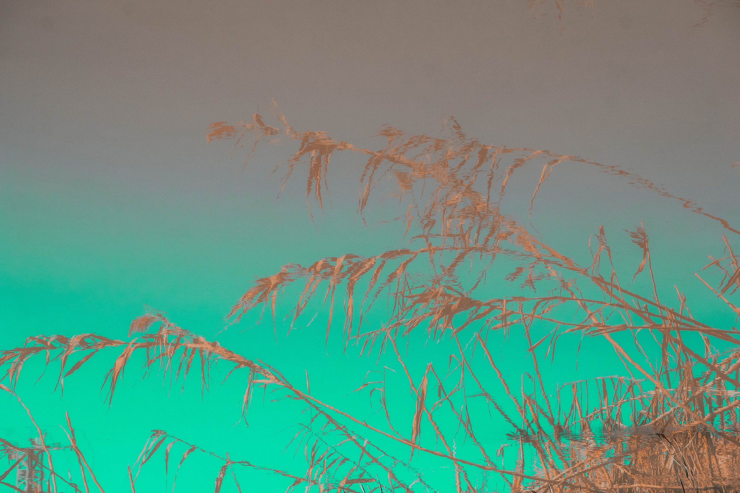 Rojales. Alba del Norte Studio