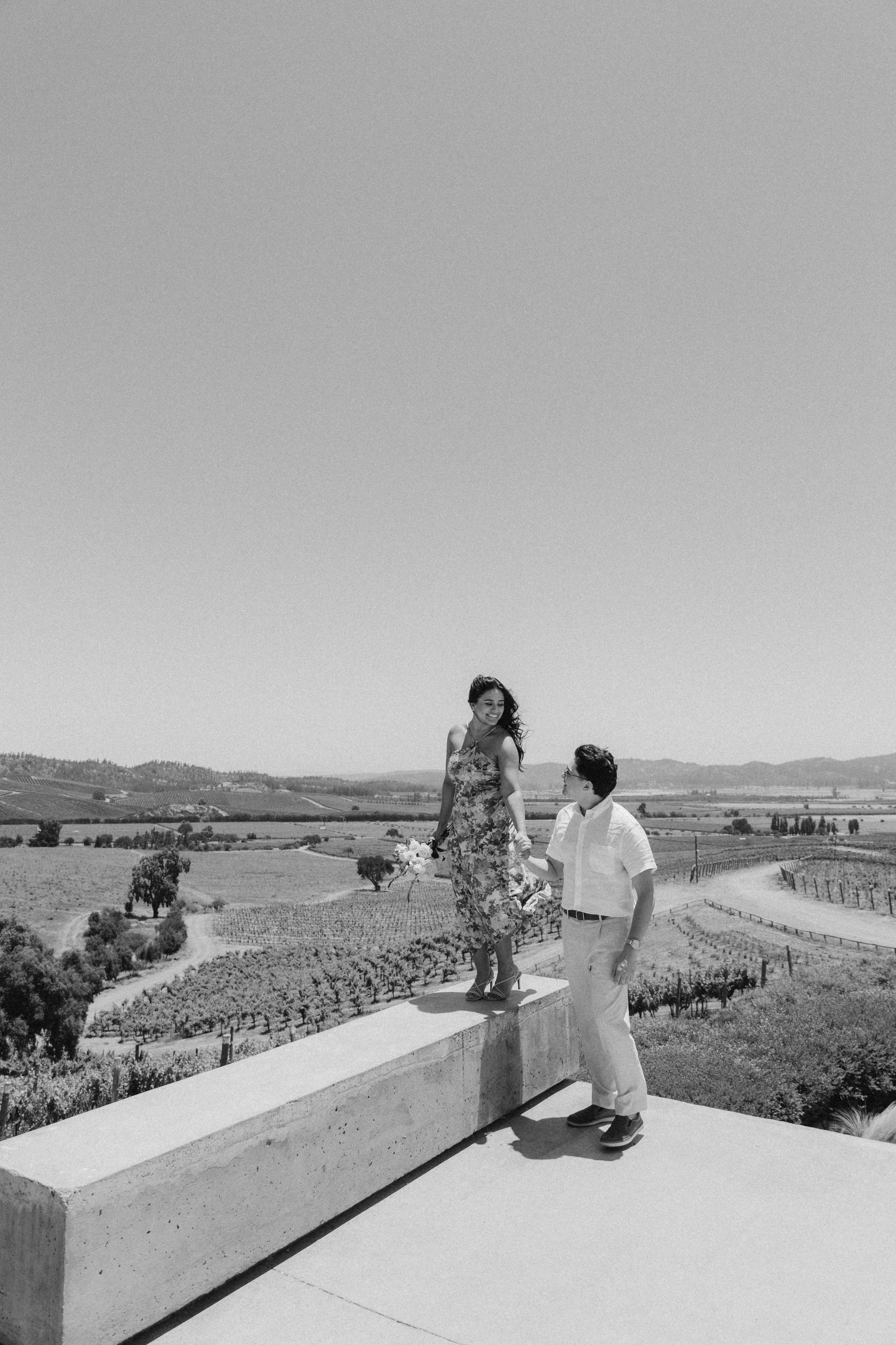 Brian & Erika. Wedding proposal. Fotógrafa familiar Santiago y Chile Anna Almazova