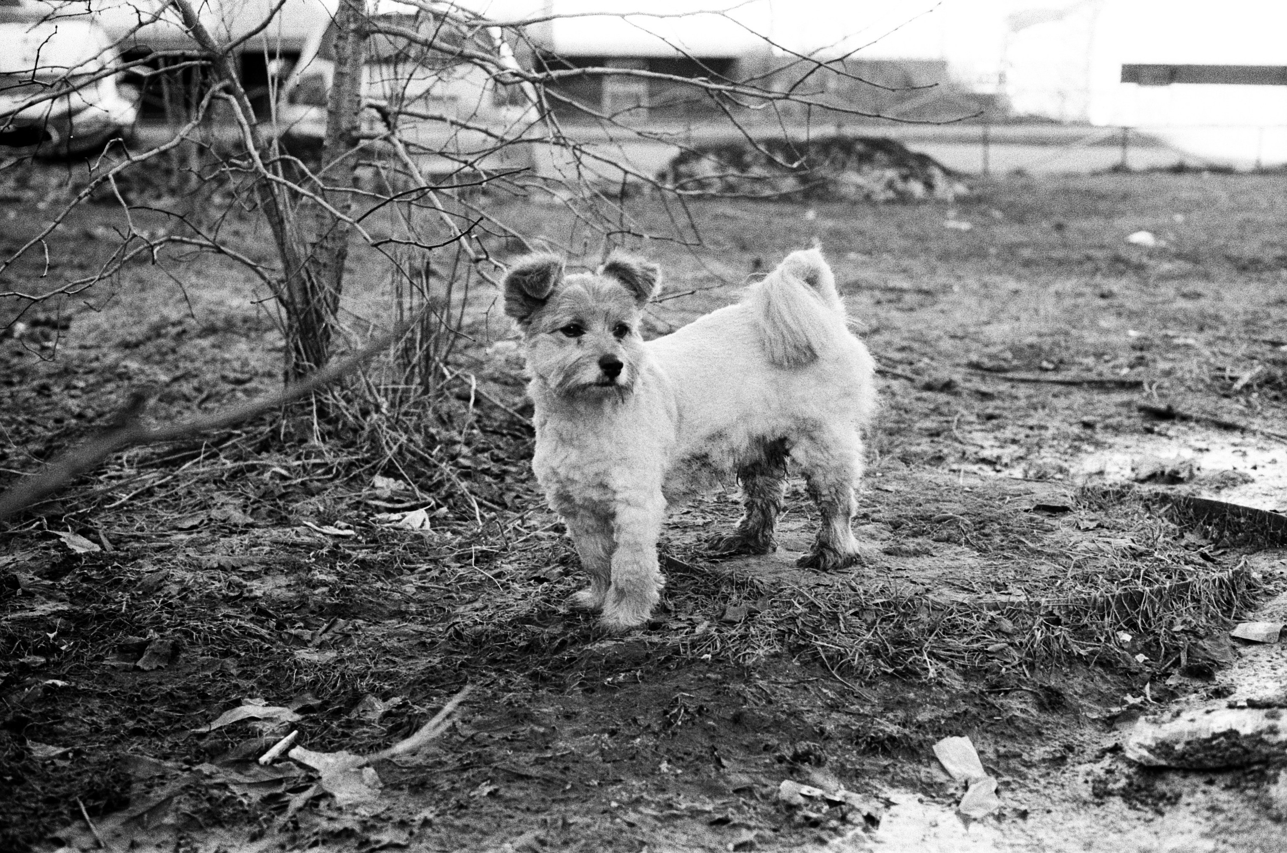 Вологда Архив. «Фотохроники»