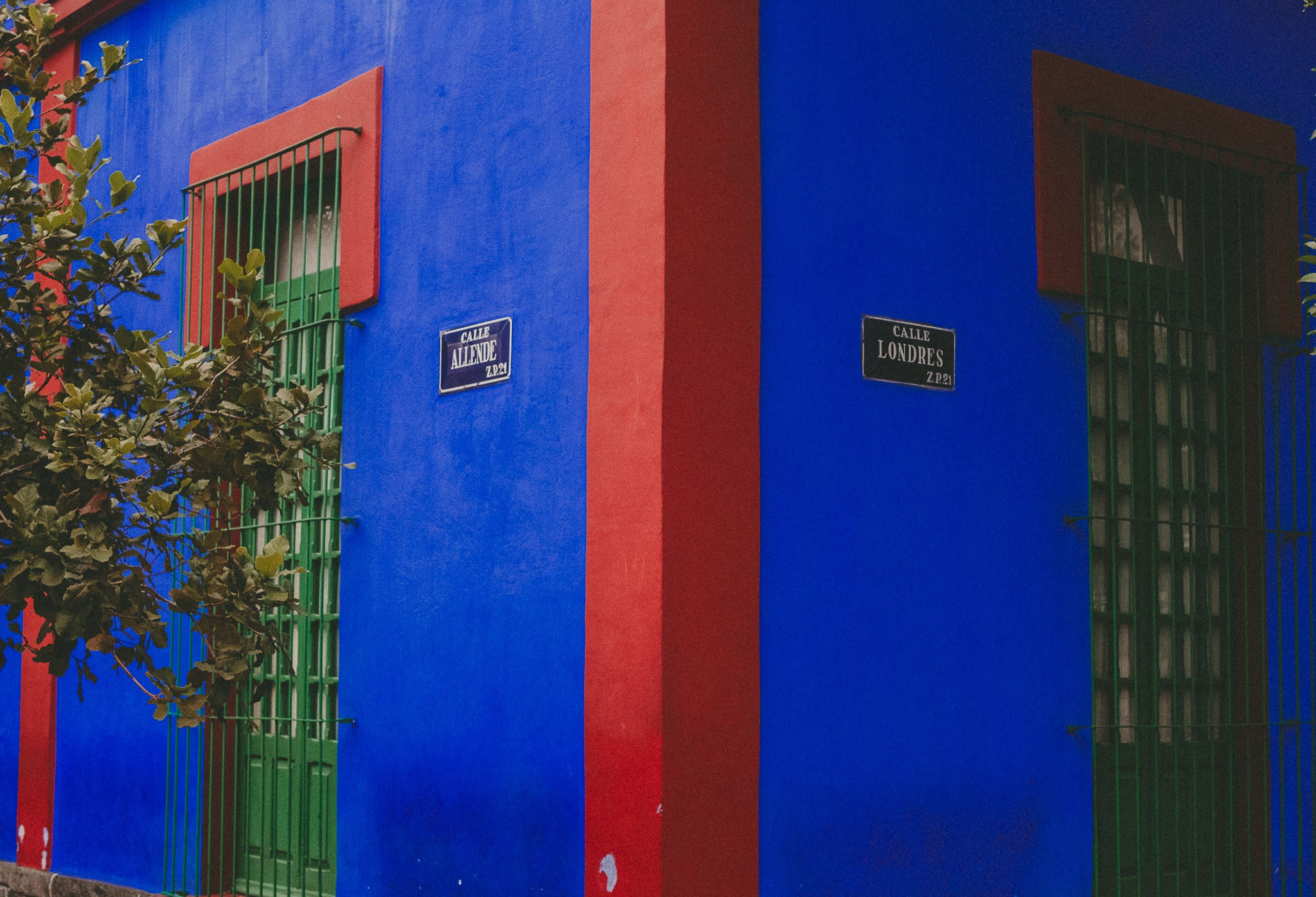 Pam & Cesar. Wedding and family photographer in Mexico City