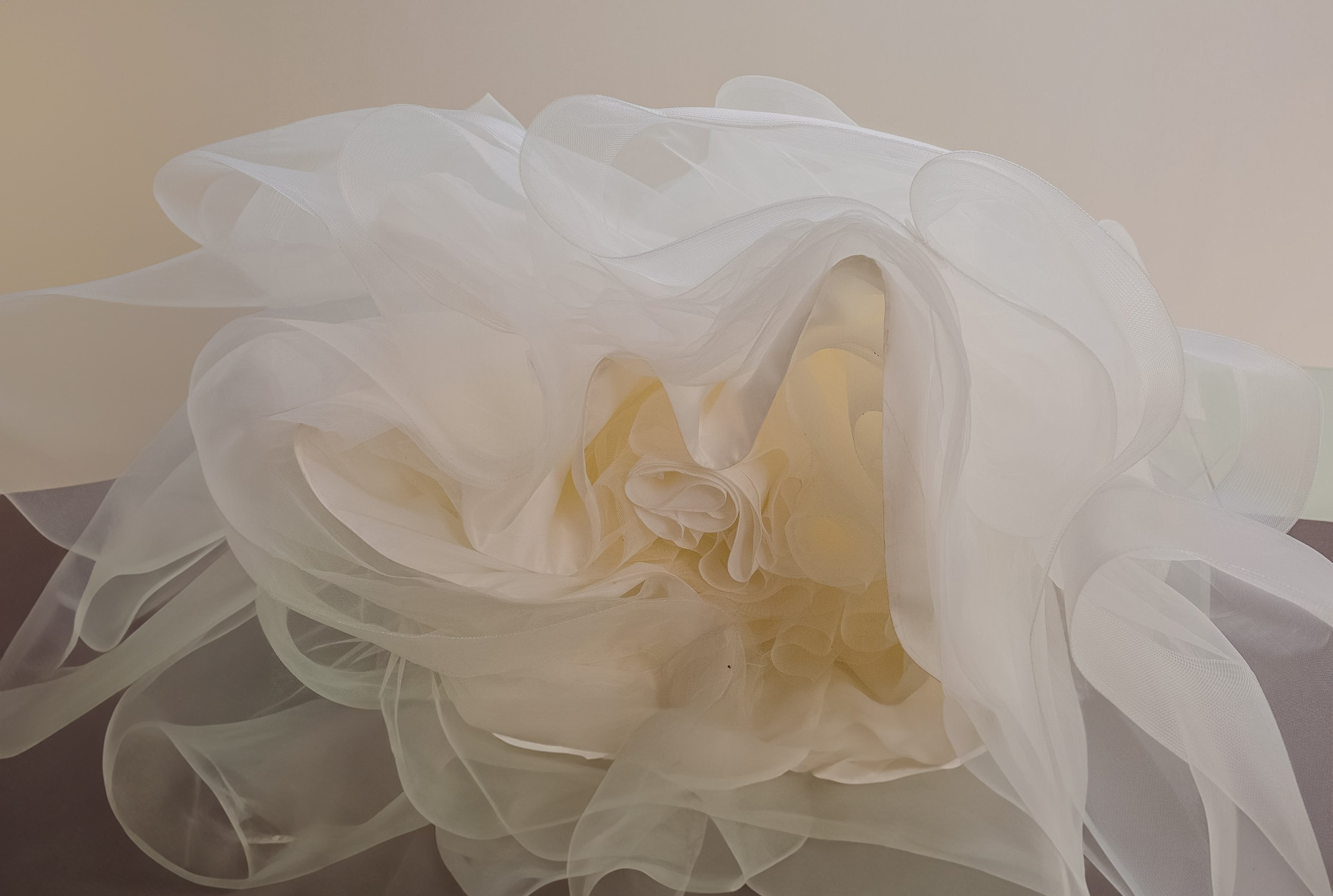 Dany & Ivan. Wedding and family photographer in Mexico City