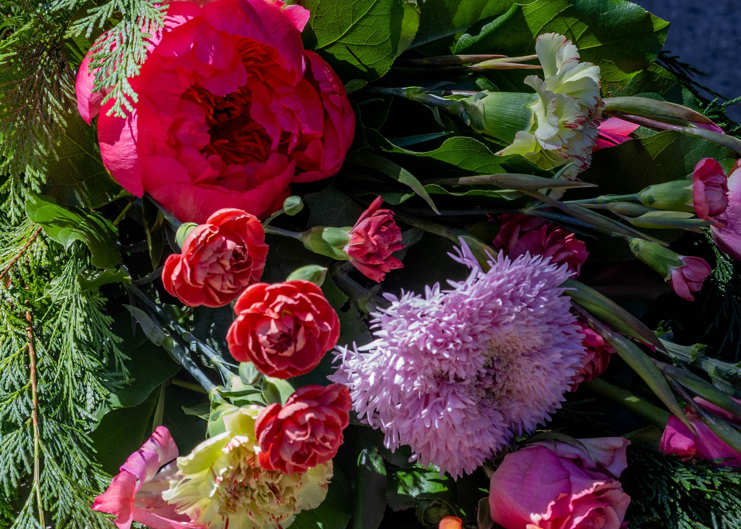 Få en smuk og elegant bårebuket med pæoner fra Akropolis Blomster. Vores buketter er lavet med omtanke og friske blomster, der udtrykker respekt og følelser. Bestil din bårebuket med pæoner i dag, og få leveret i Aarhus og omegn.