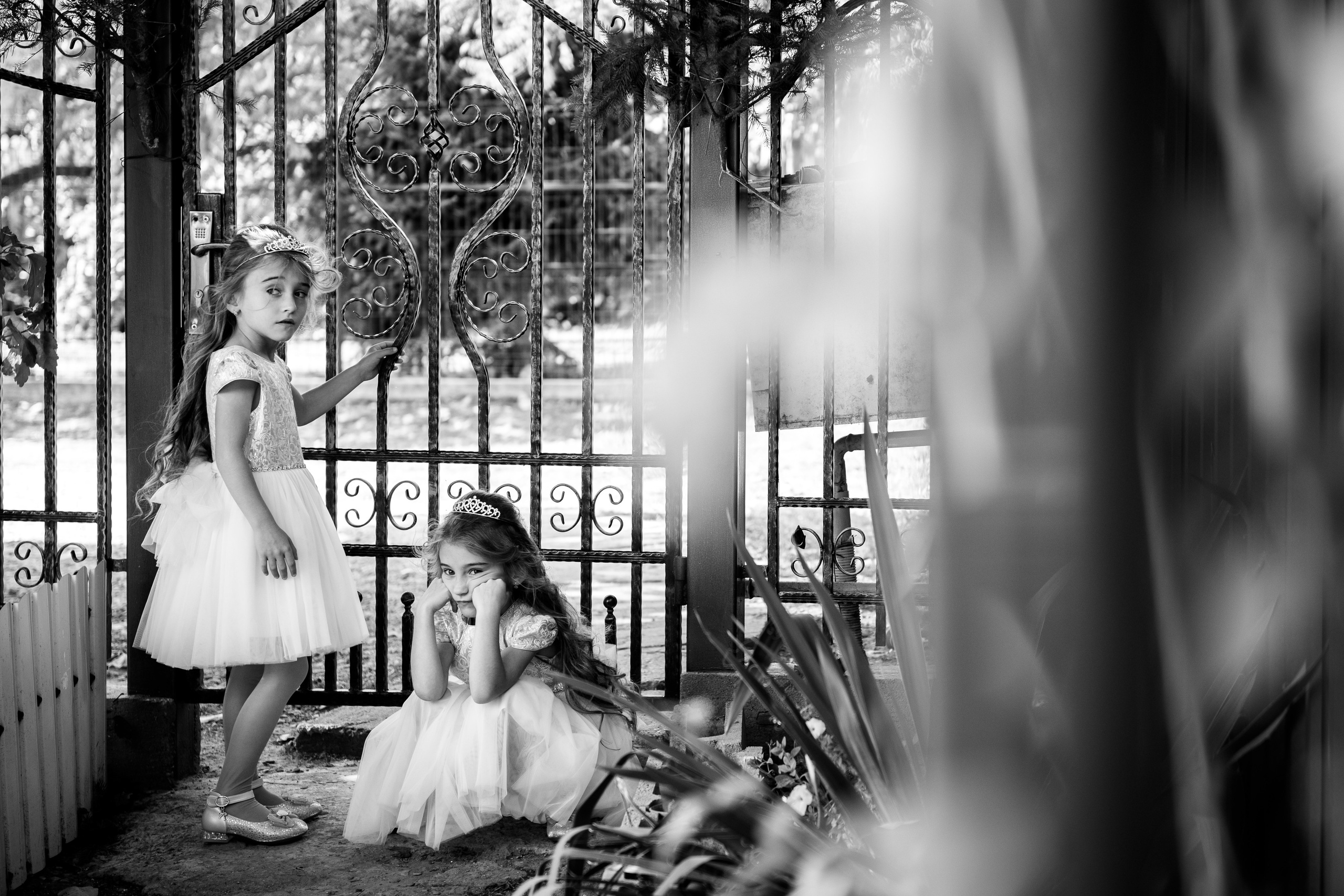 Wedding. Alin Doana Visual Art