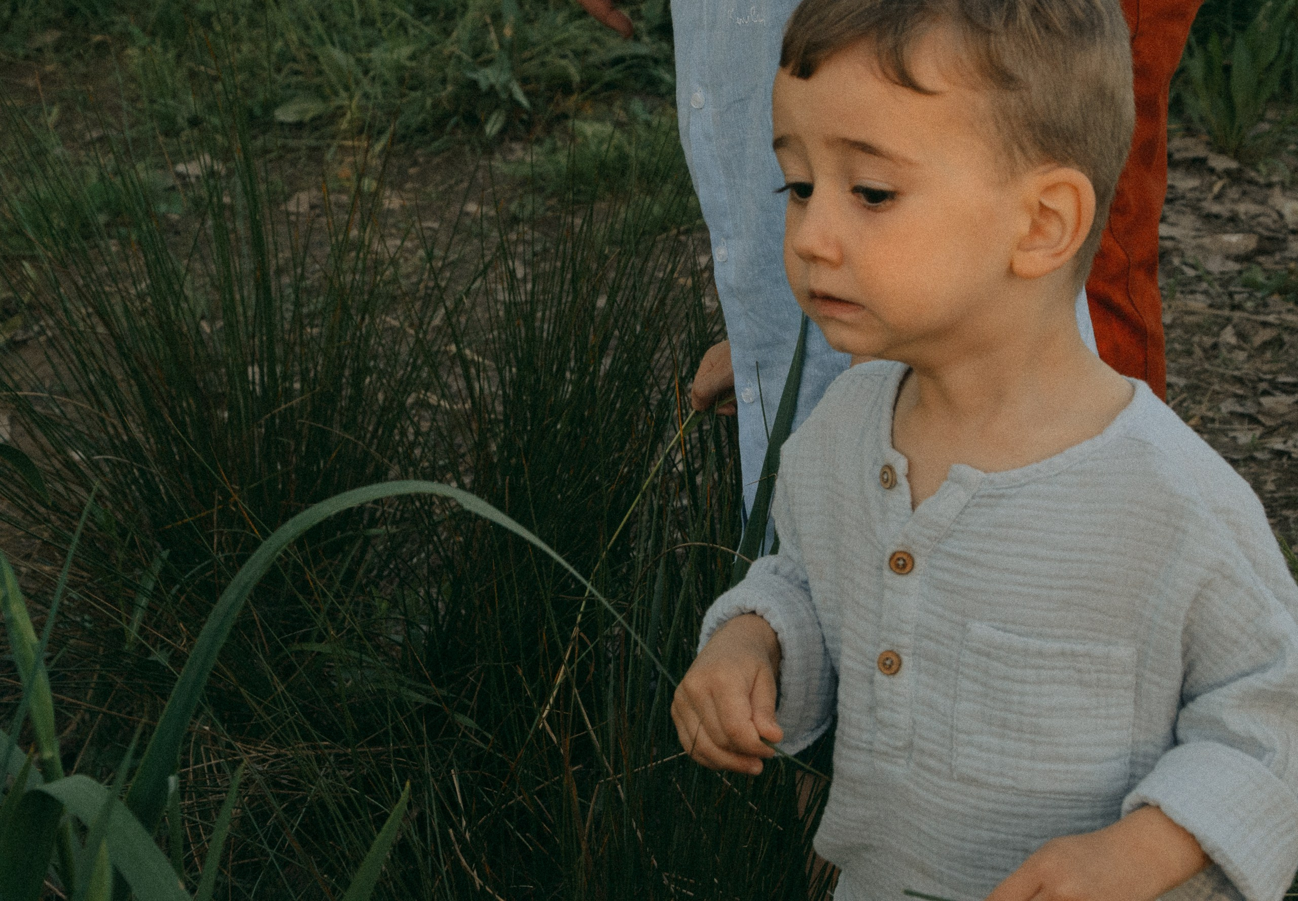 Childrens play in the park in Milan. Finding frogs with dad. Private photoshooting