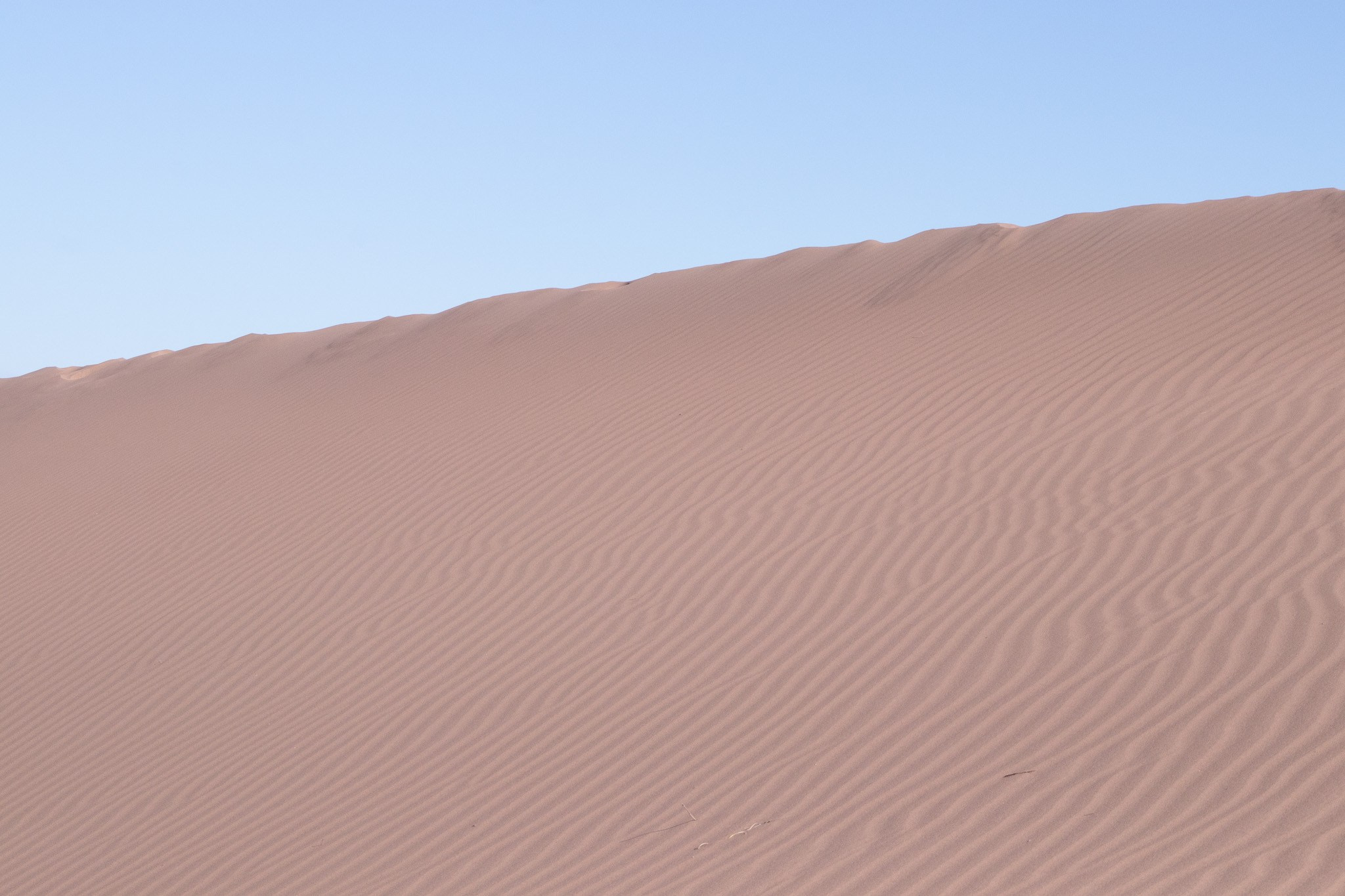 Anastasia y Tasya. Fotógrafo en Mendoza Alexander Safonov