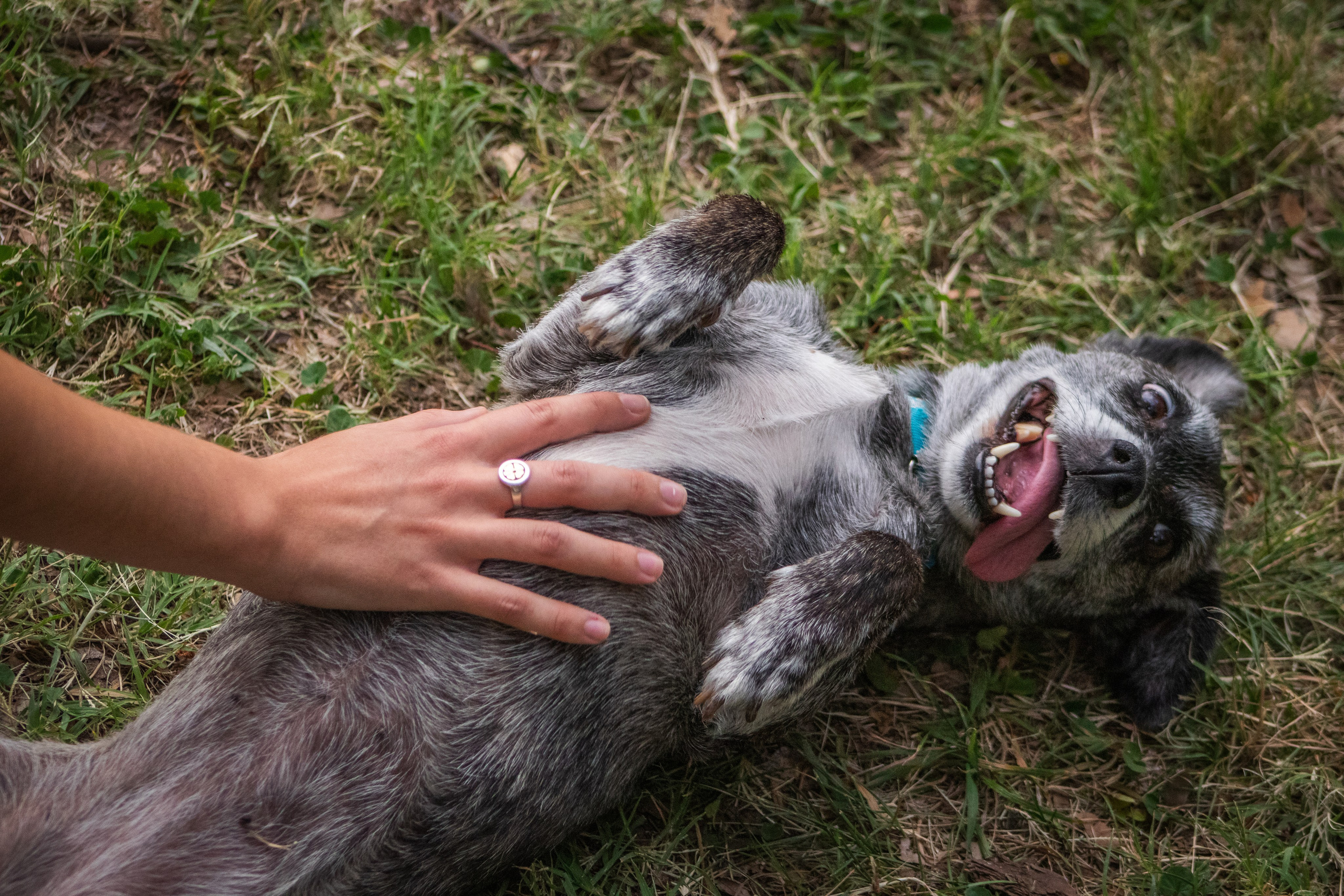 Maya & Pablo. Fotógrafo en Mendoza Alexander Safonov