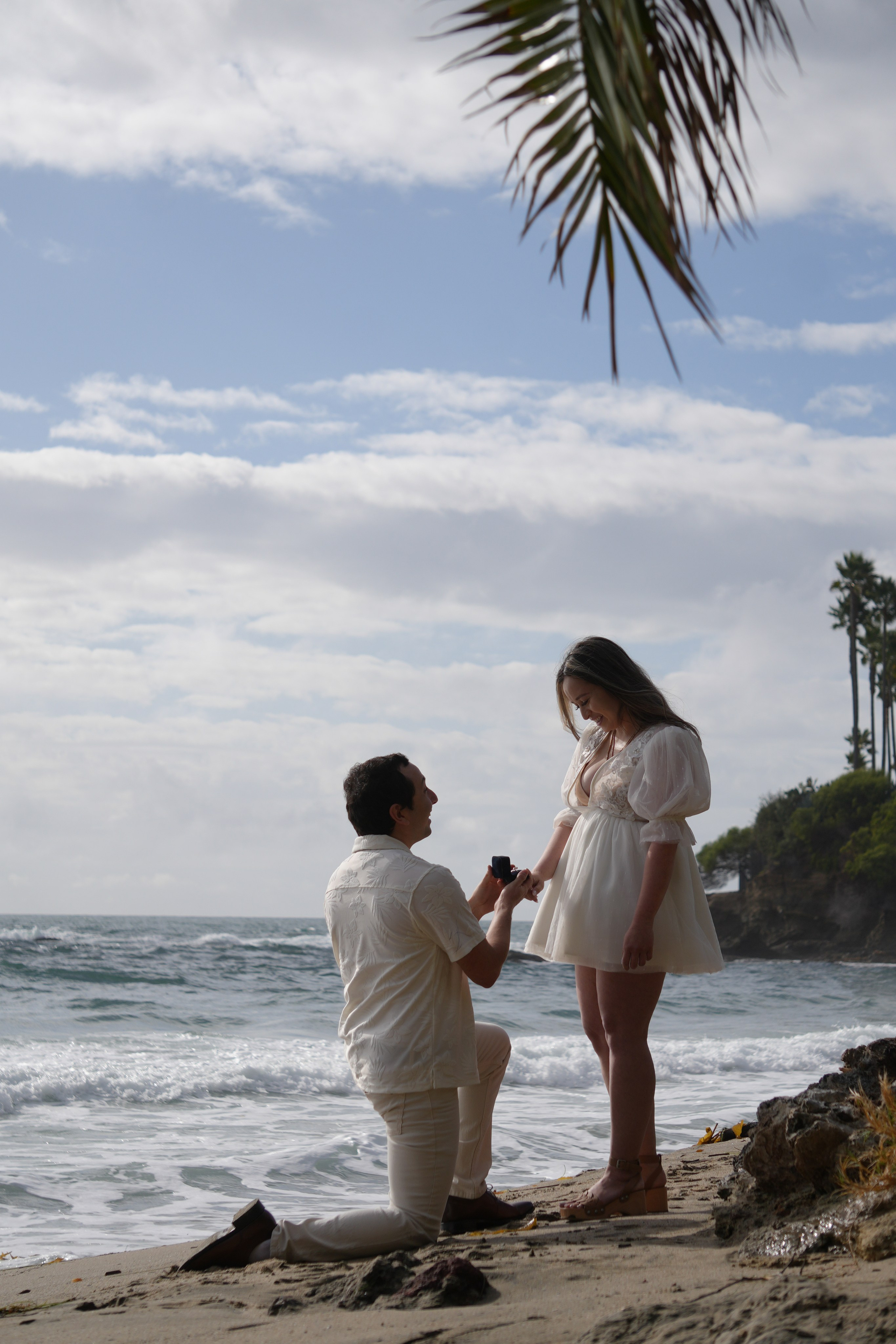 Photo Portfolio. ABOUT US