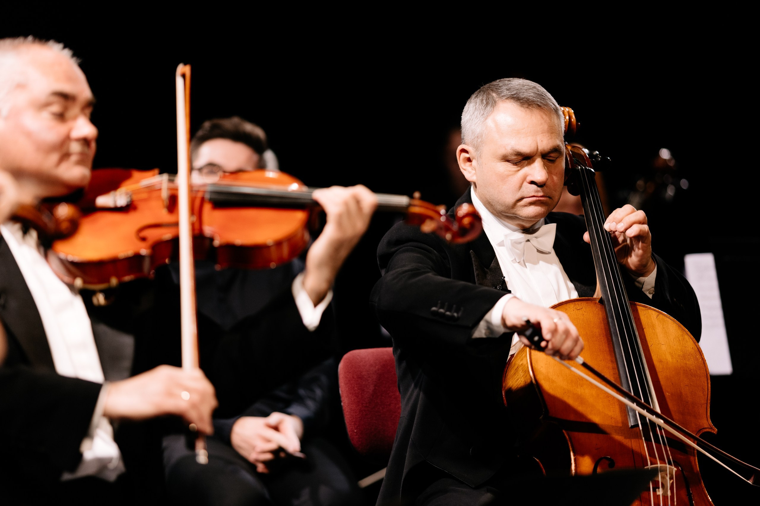 Mocarta Trio. Fotograf Ślubny Warszawa - Sesje Biznesowe Rodzinne Eventy