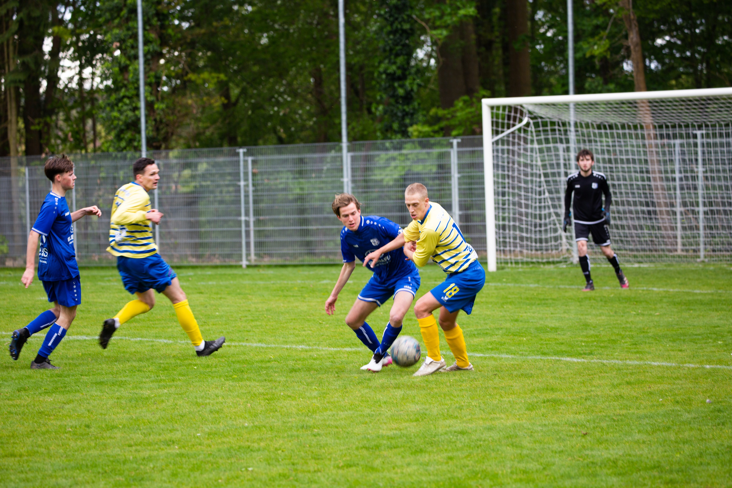 Sports. Family, portrait, and lifestyle photoshoots in Belgium