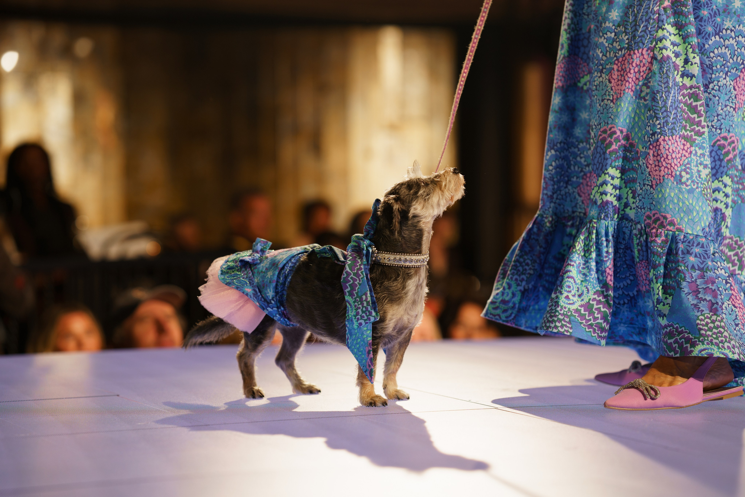 New York Fashion Week. New York + travel photographer