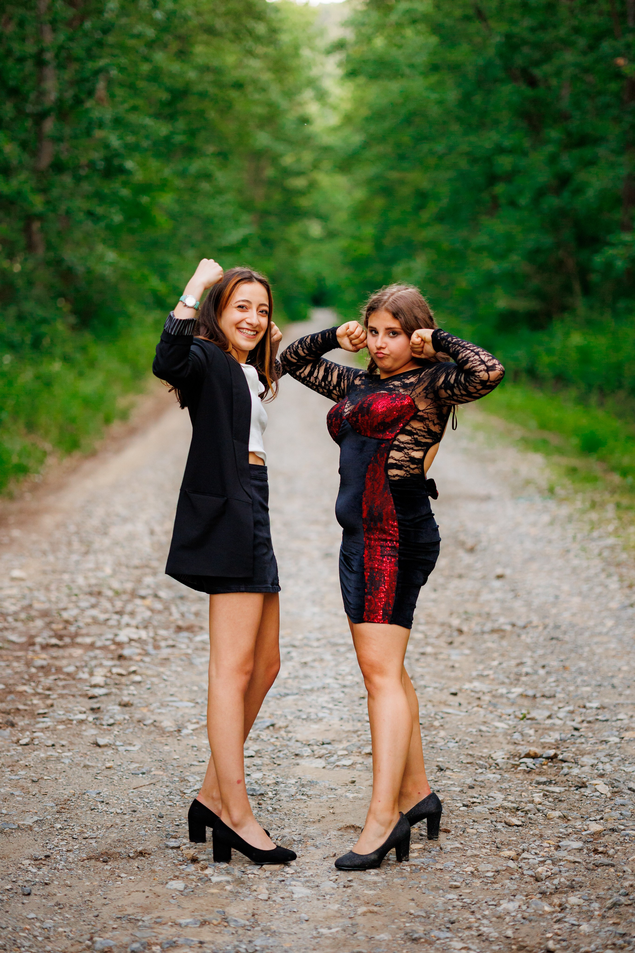 Distracție Gratuit. Trendy Albums