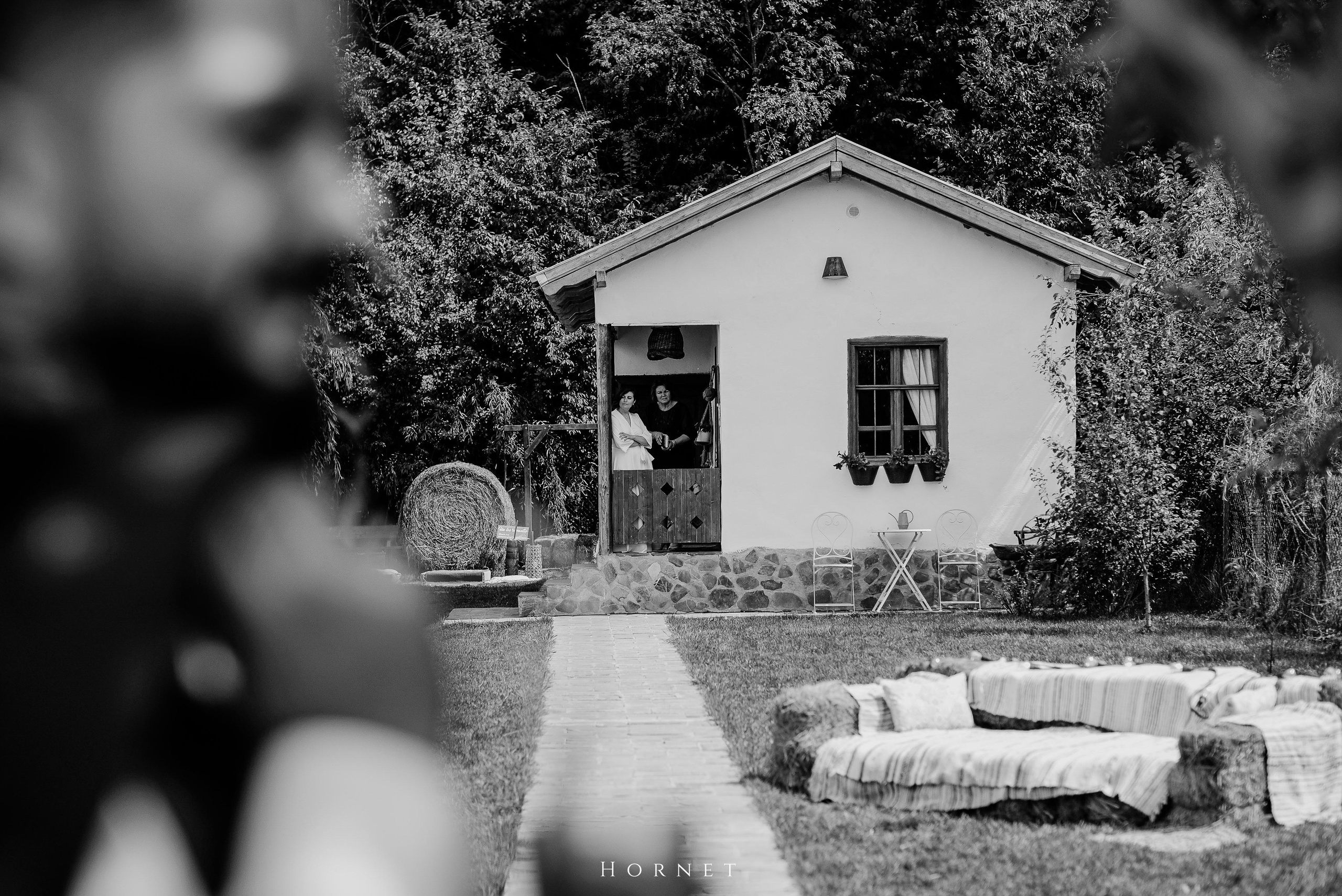 Silvia + Ionut. Hornetart