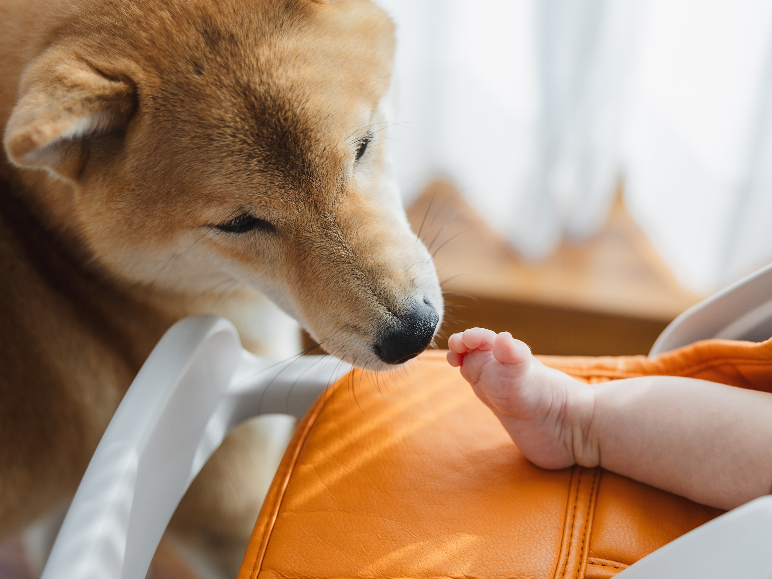 Shanghai Family Photographer Portfolio | Dora