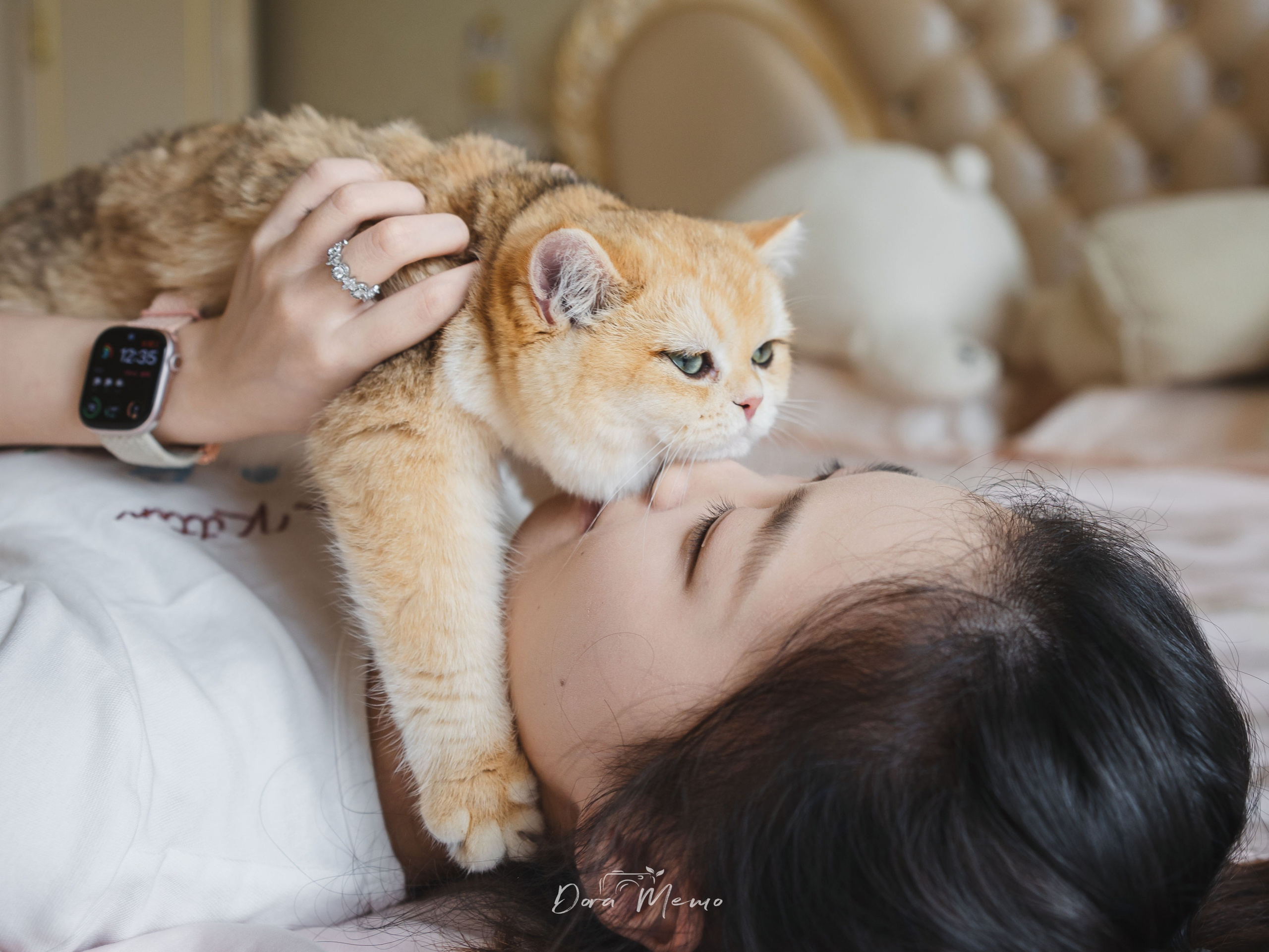 Shanghai Pet Family Photography | A Cat’s First Birthday at Home