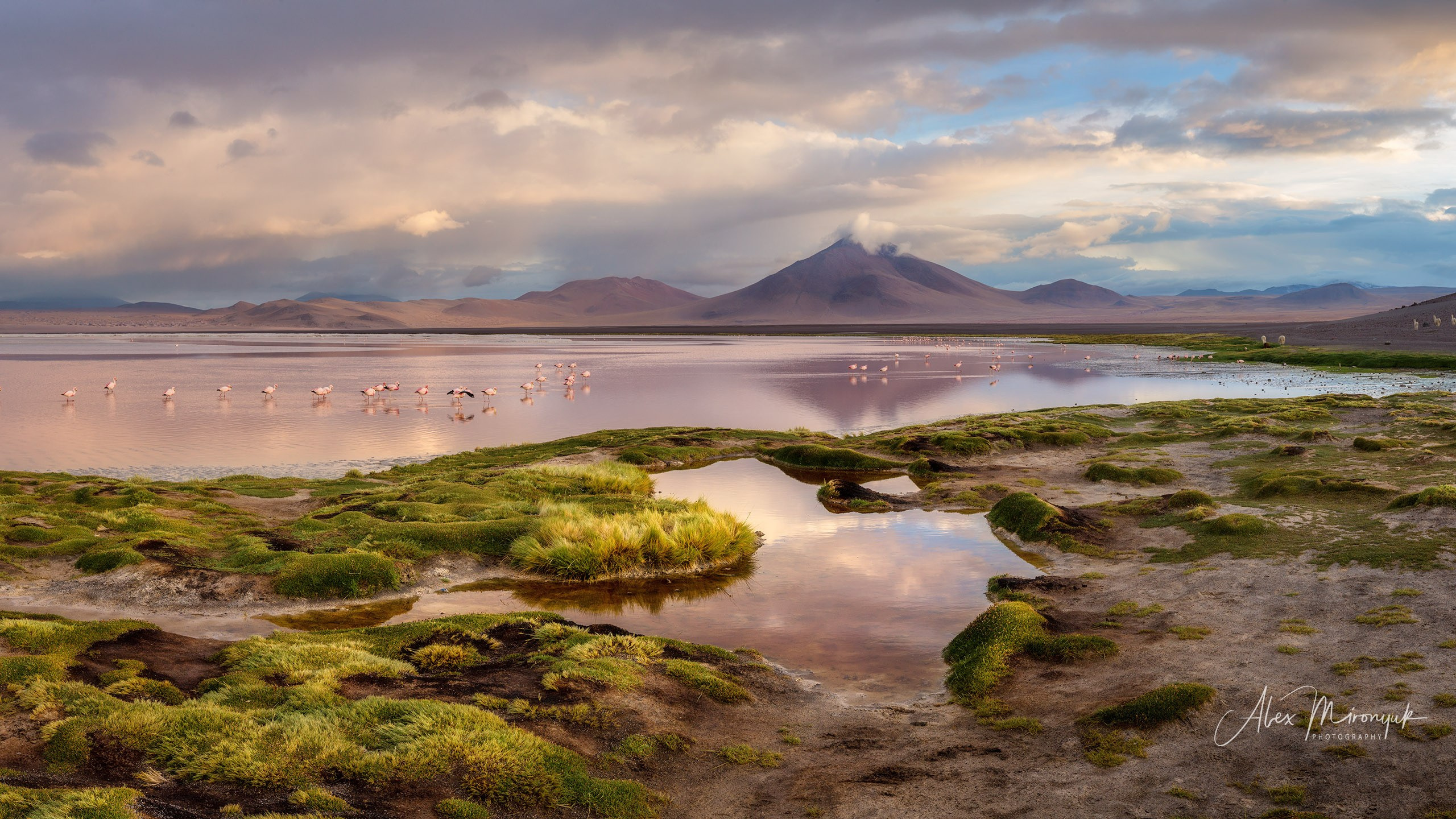 Bolivia Adventure — 2025. Pet, Senior, Landscape, portrait studio, photographer in Miami and Sou