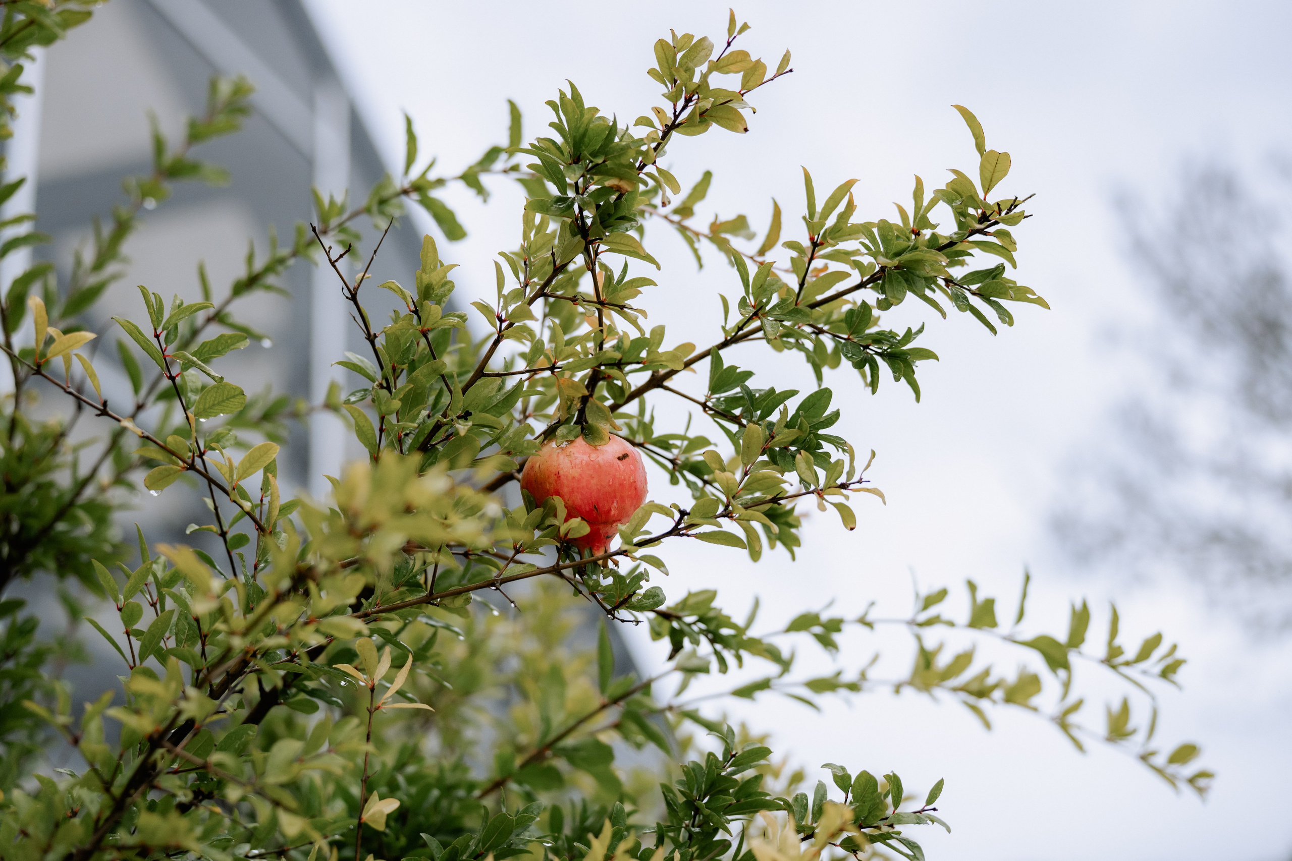 Ioana + Ioan | Wedding day. Proud Vision Weddings | Wedding Photography & Film — Servicii profesionale Foto Video Nunta Iasi