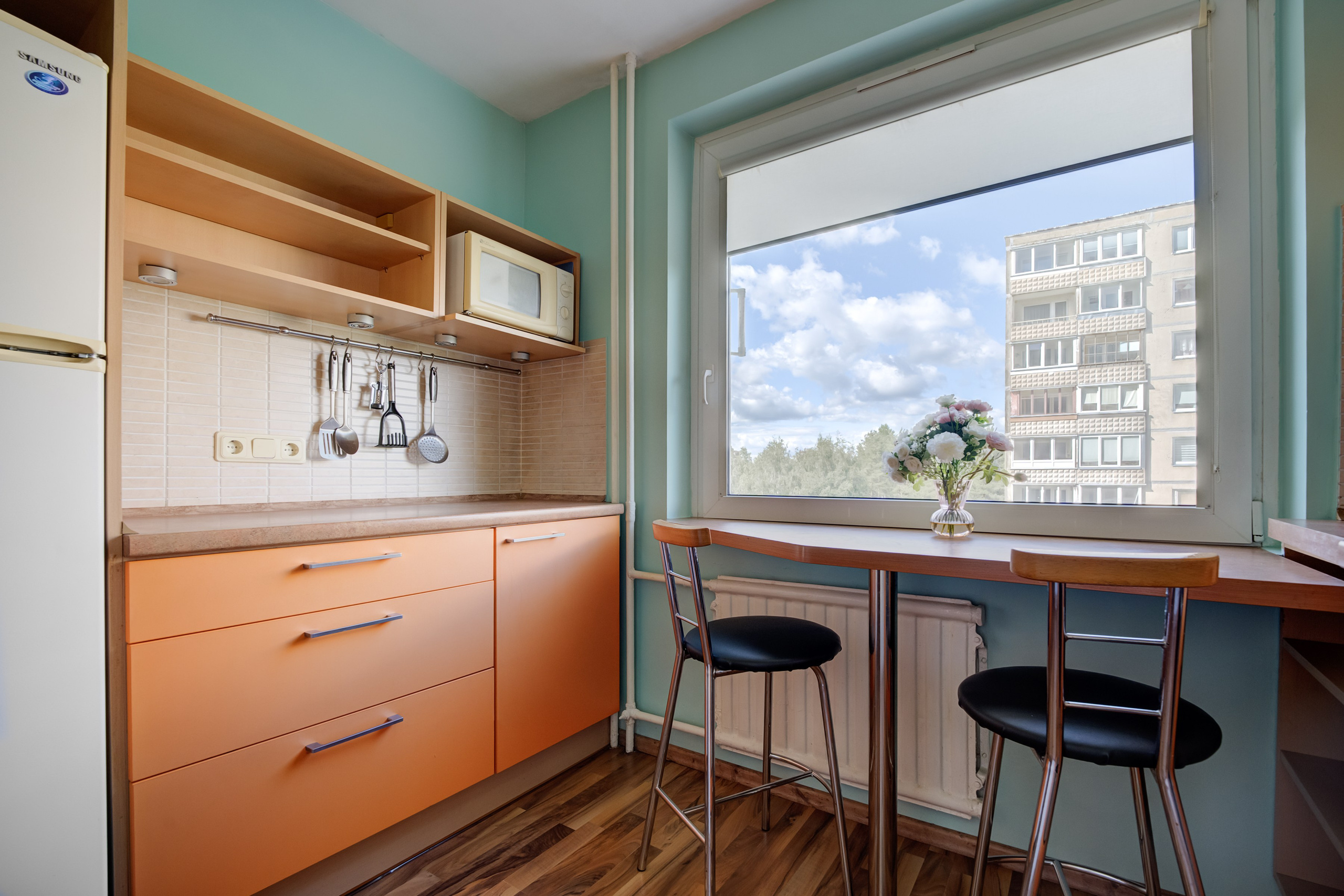 Viršuliškių g. 29. Elina Sapiega fotografė Vilniuje