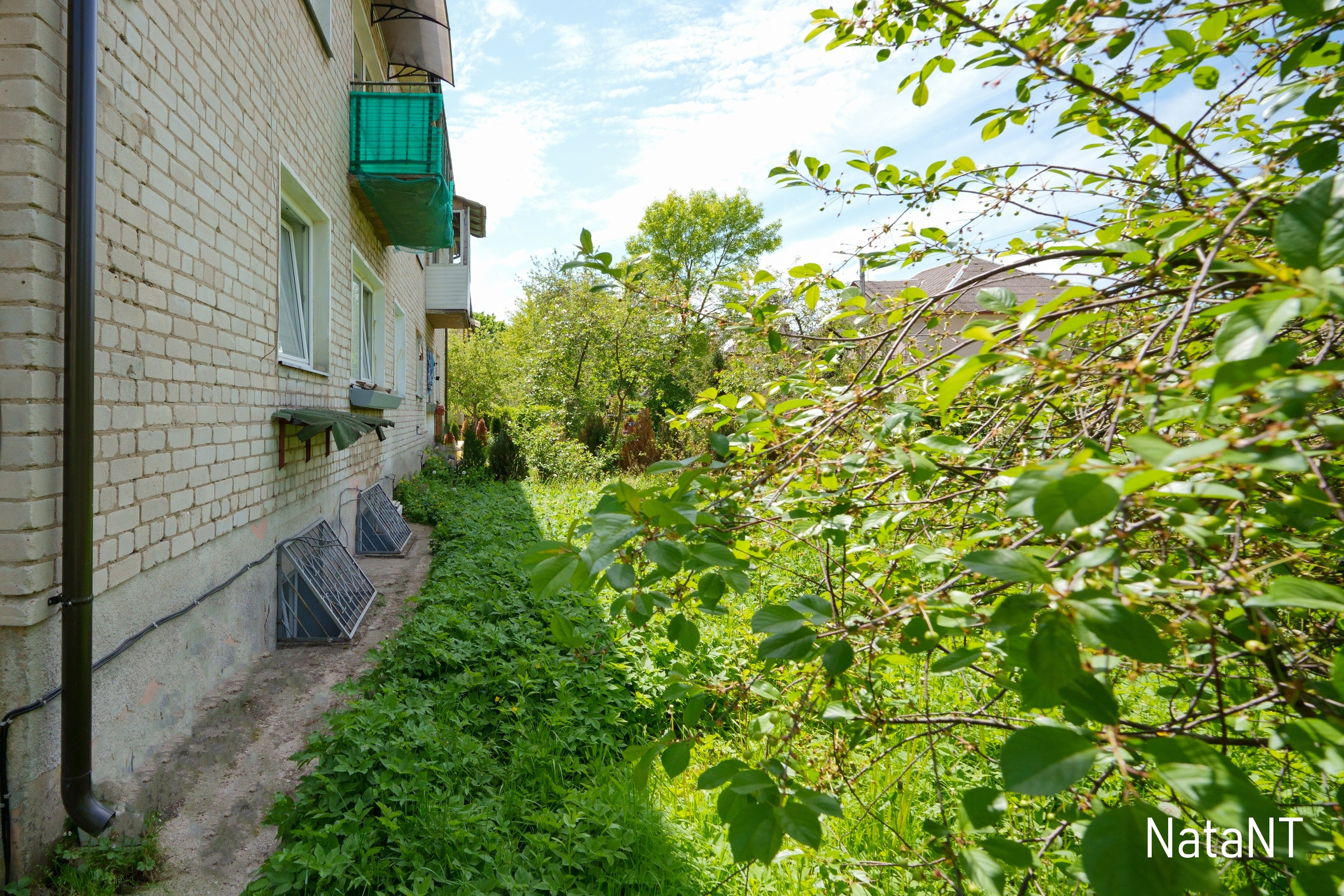 Grigiškės. Elina Sapiega fotografė Vilniuje