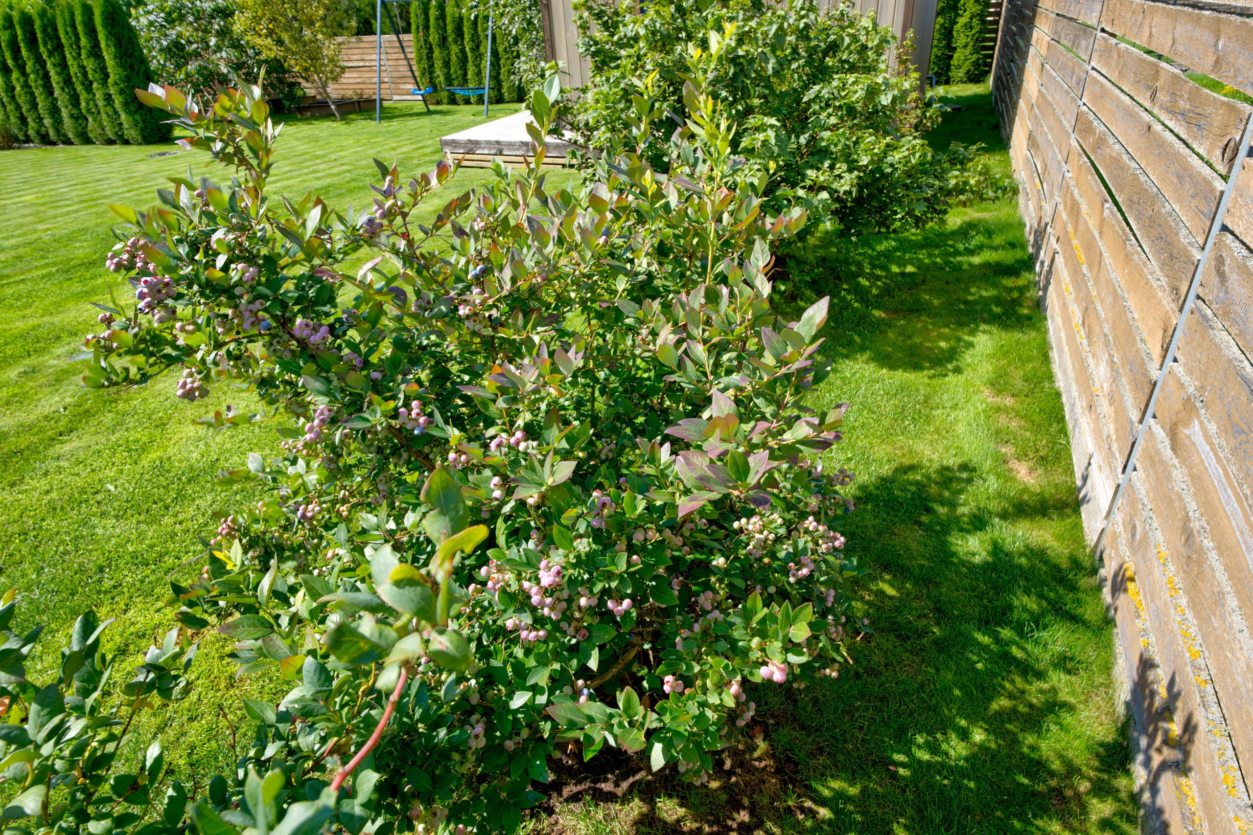 M. Krupavičiaus g. 18. Elina Sapiega fotografė Vilniuje