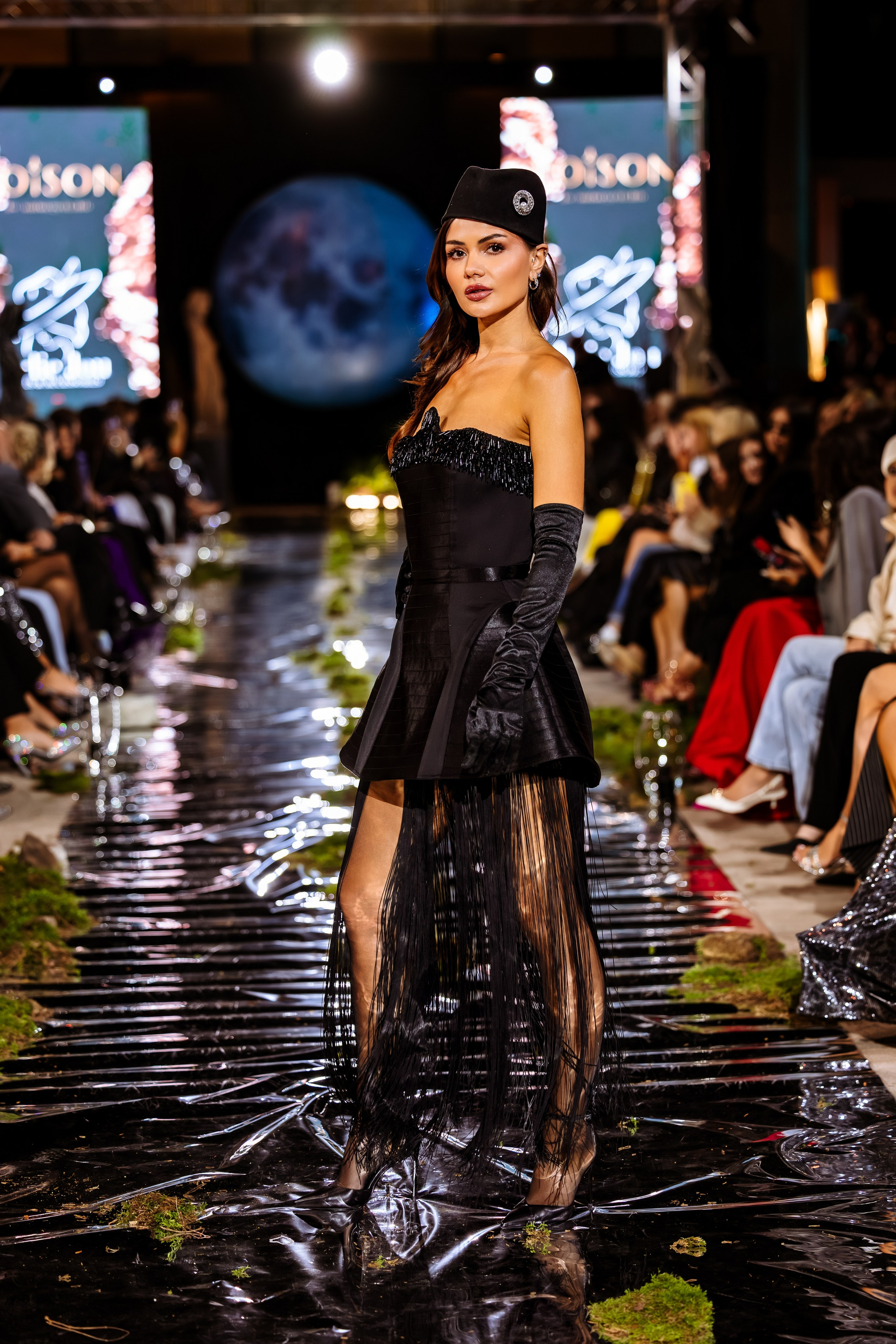 Prive. Marius Ciocan