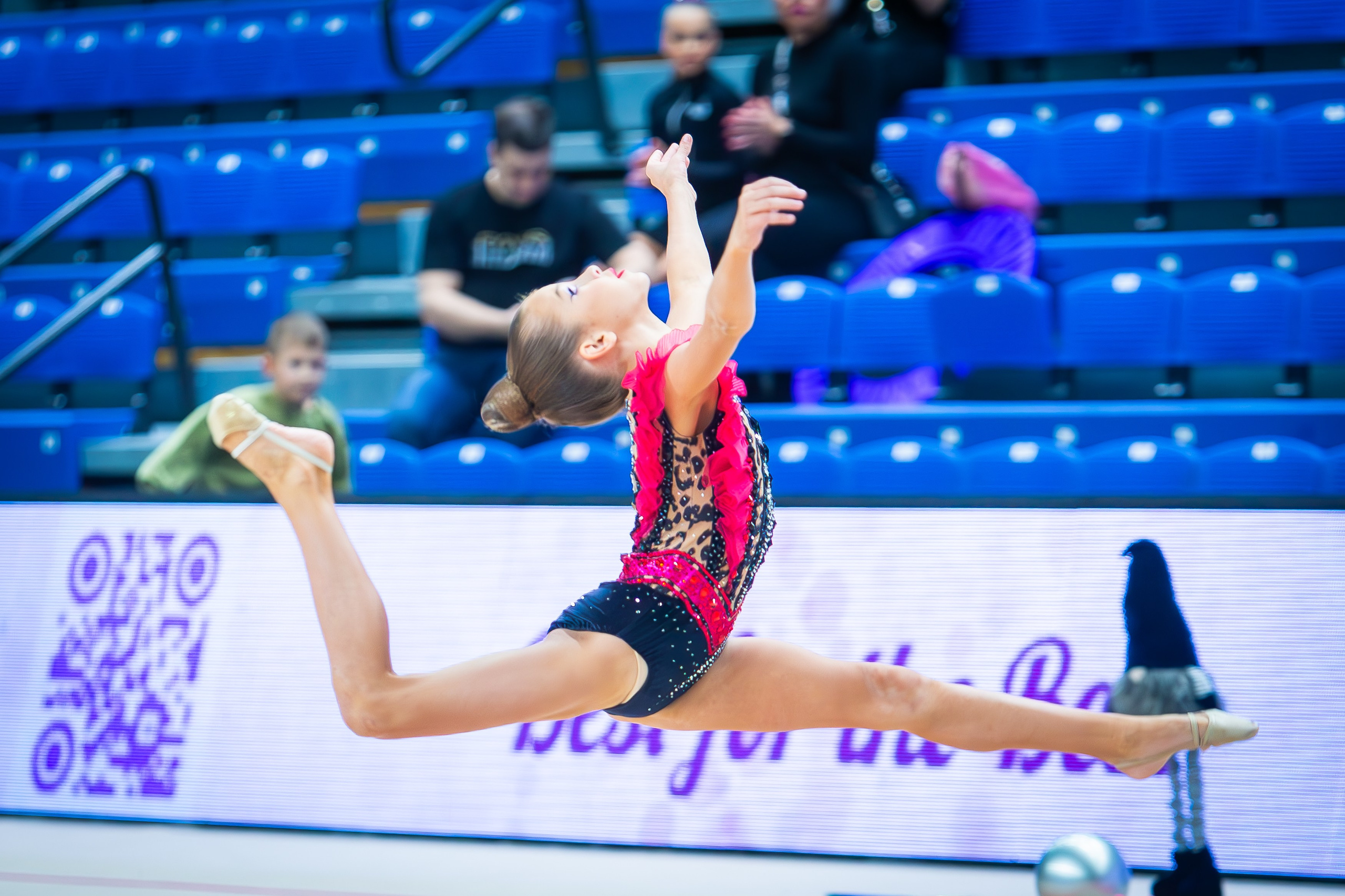 Галерея 2. Спортивная фотография, видео, трансляции