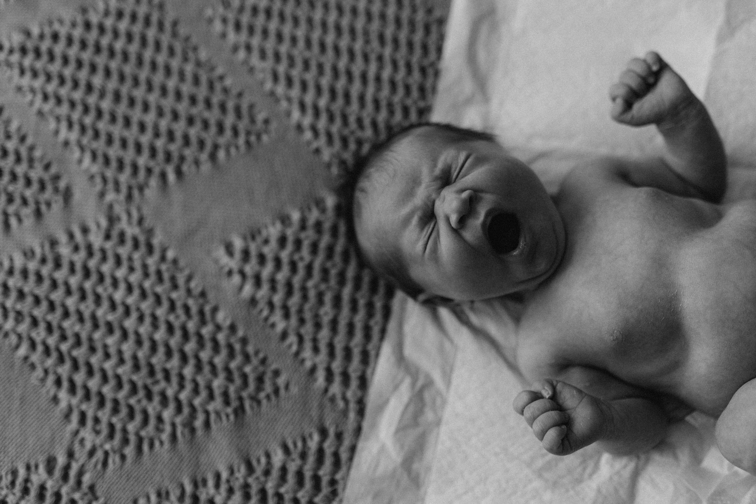 Luna 7 days. Fotografa de família e crianças em Florianópolis SC Daria Ermolaev