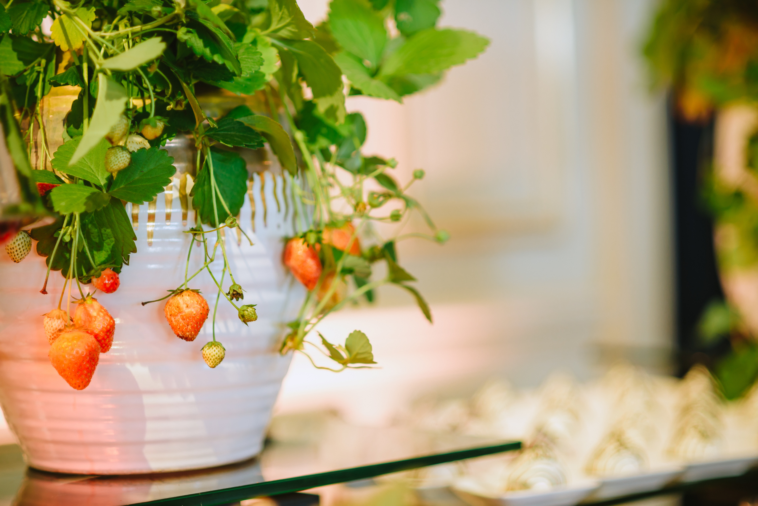 Декор бизнес-мероприятия для ивент-агентства. Ksenia Marchand/ Lifestyle фотограф в Париже