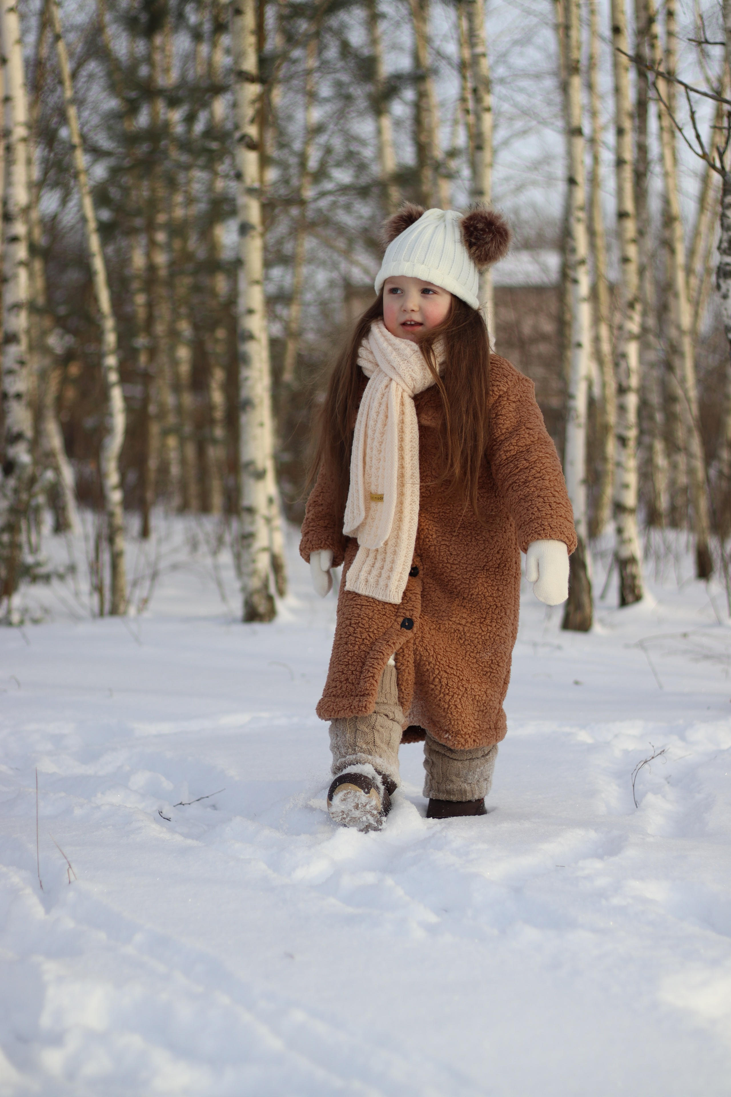 Зимняя сказка