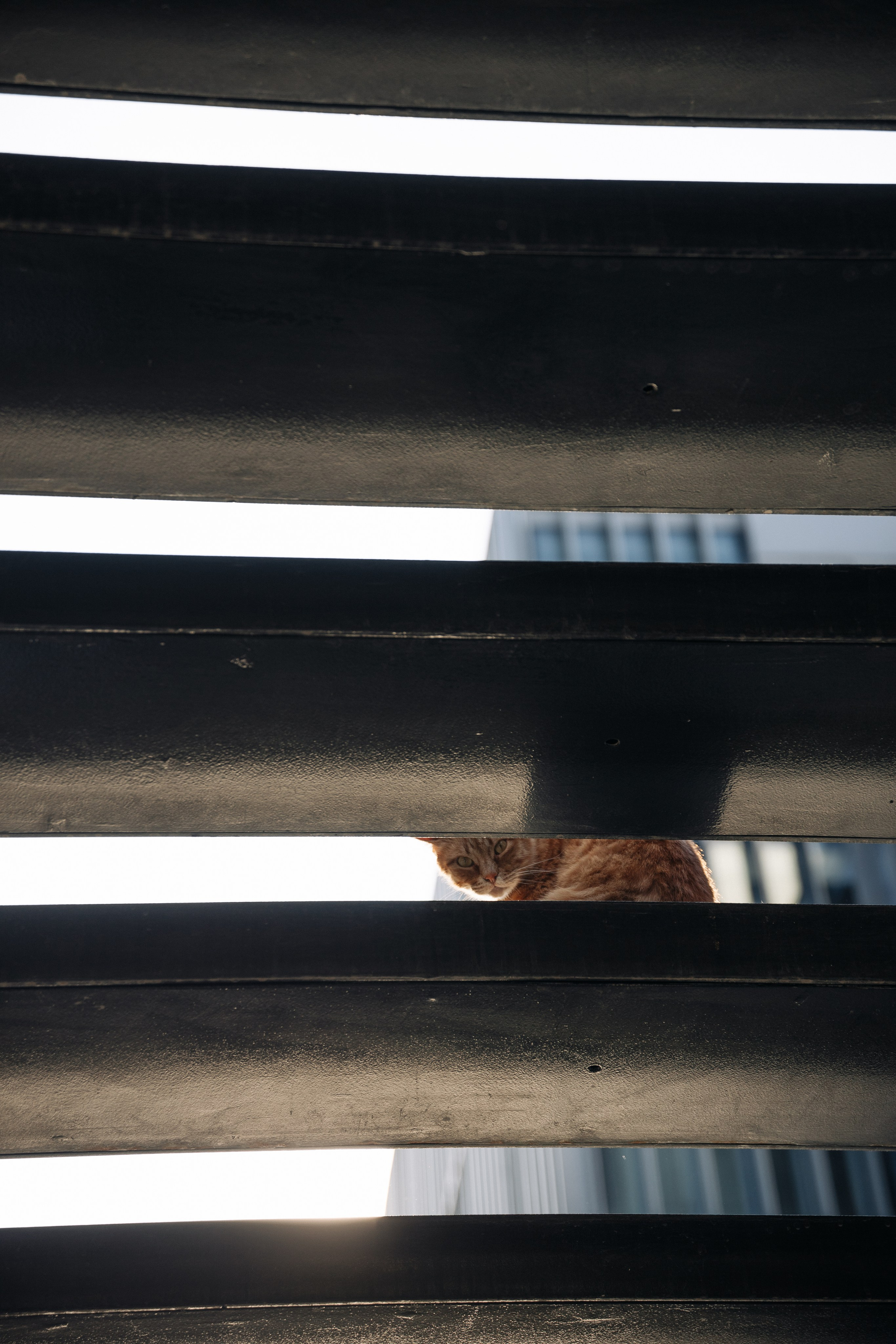 Стамбул. Фотопрогулки в Стамбуле