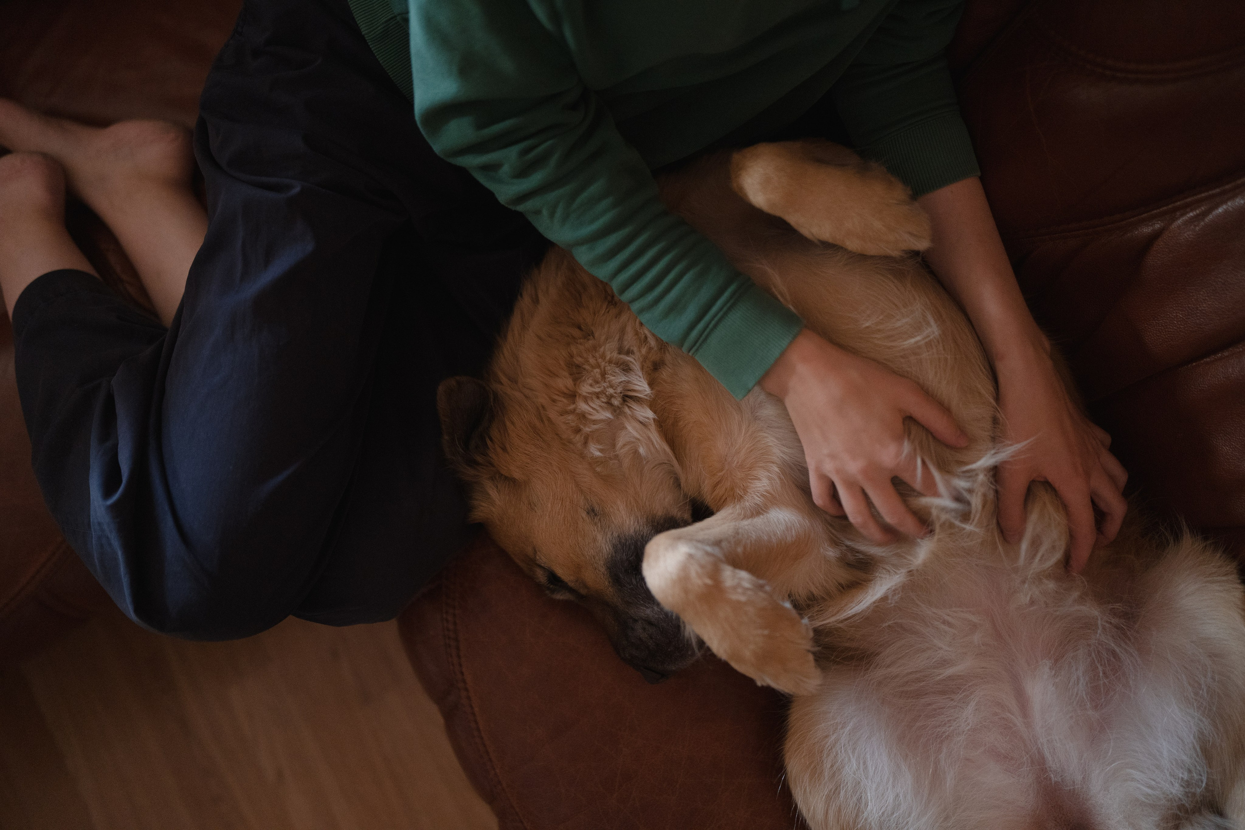 Alena, Vlad and their son Lev. Main