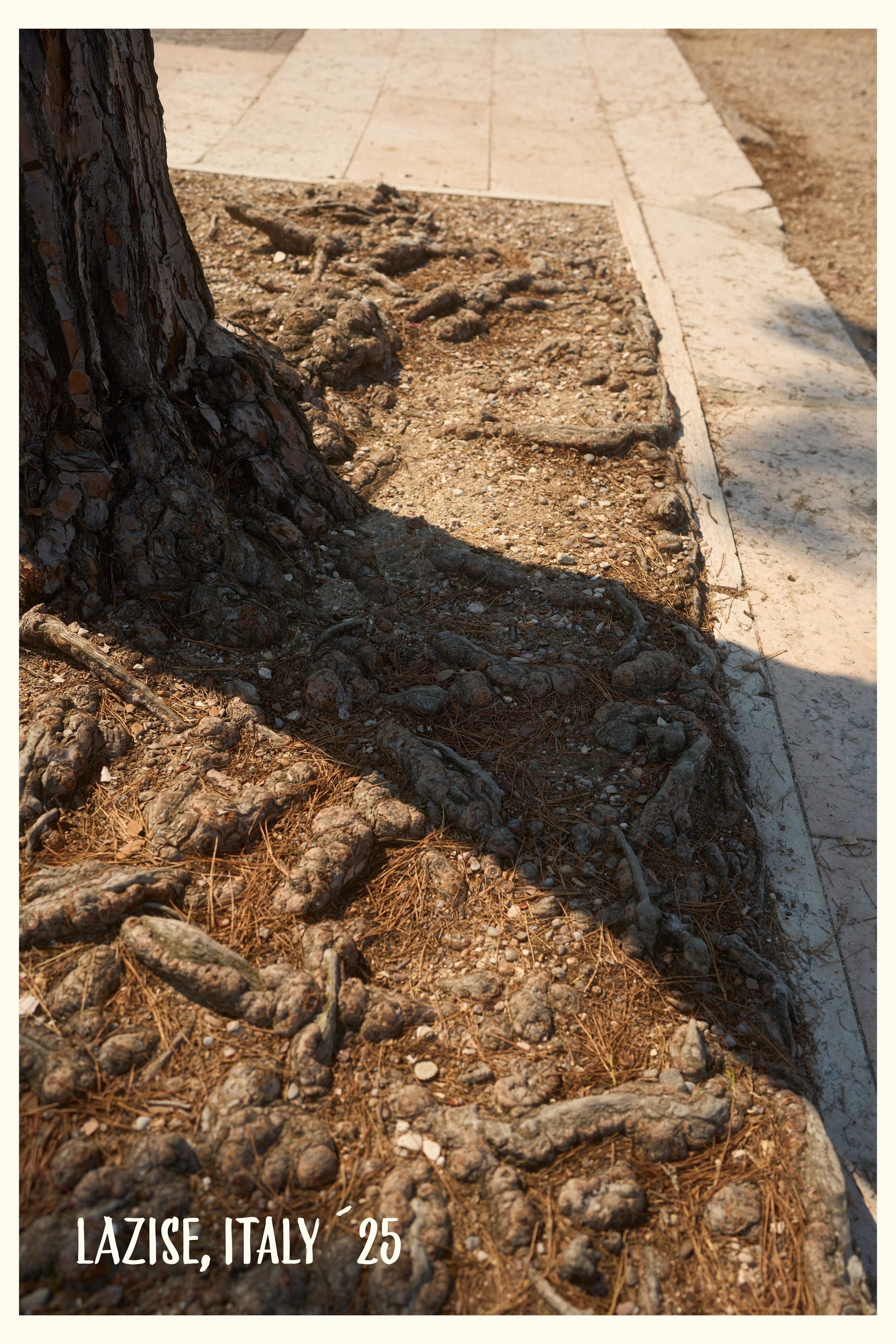 Travel. Visual artist | Fotograf | Stuttgart